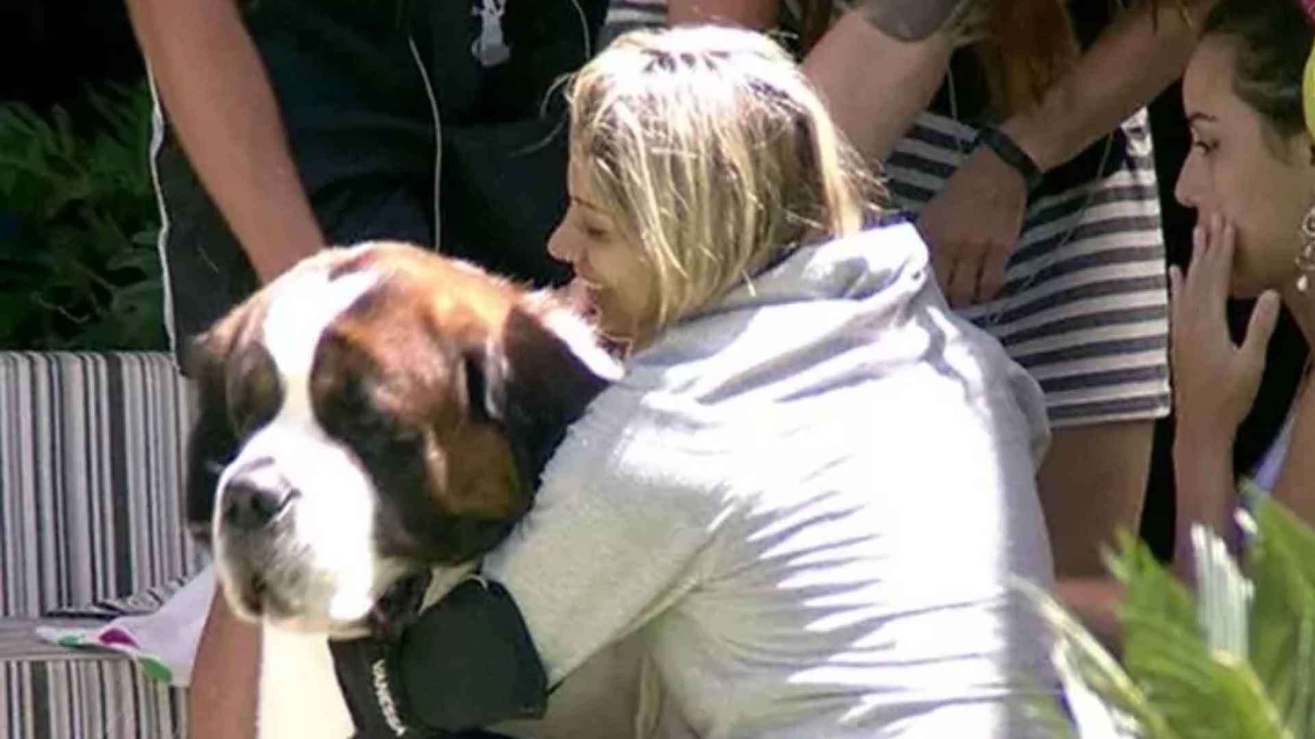 Já teve cachorro no BBB? Relembre os pets que passaram pelo reality show