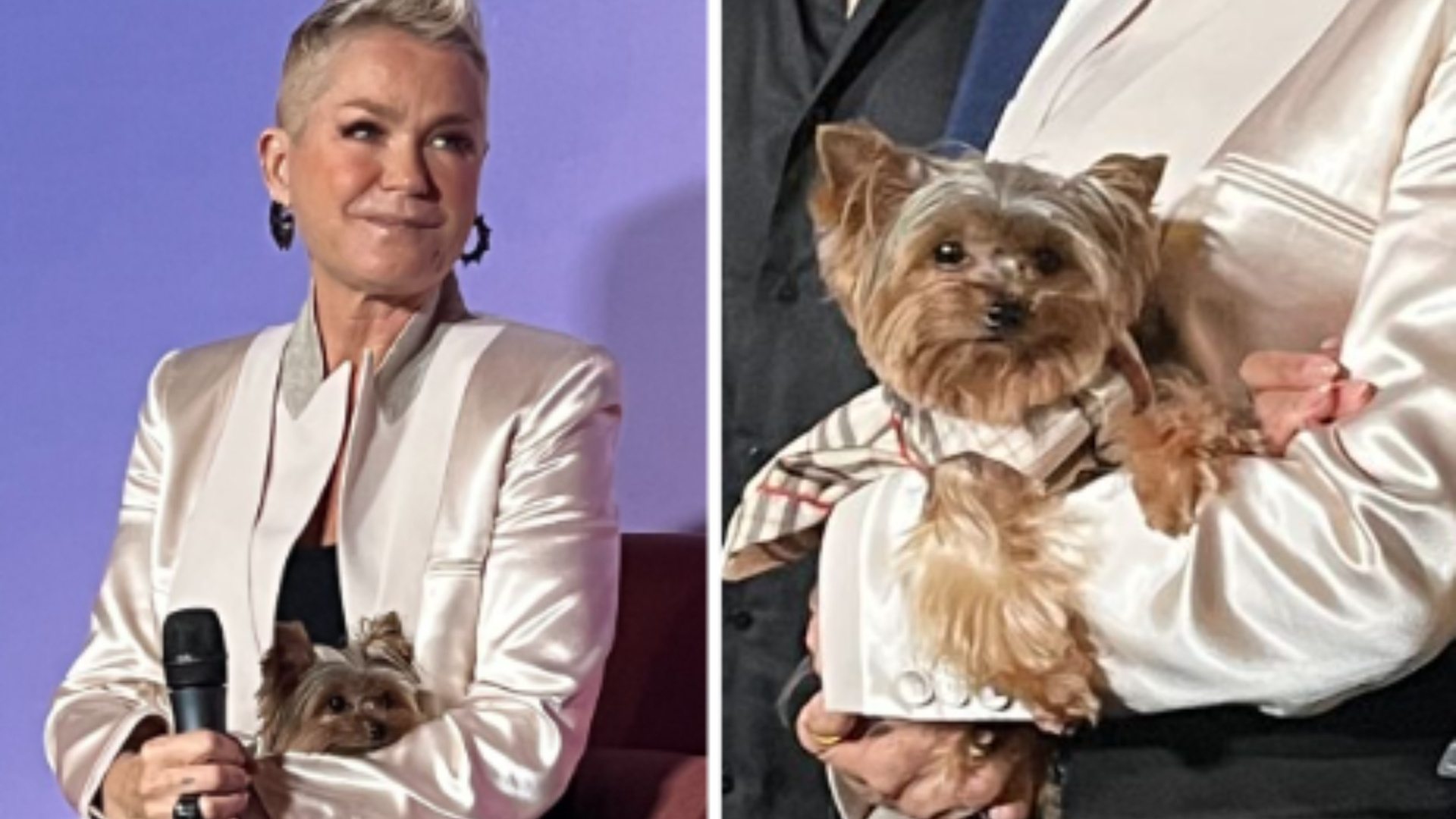 Xuxa entrega participação especial de cachorra em seu documentário: ‘Está em todas’