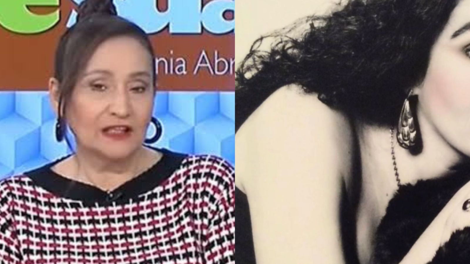 Mudou muito? Sonia Abrão impressiona ao resgatar clique da juventude