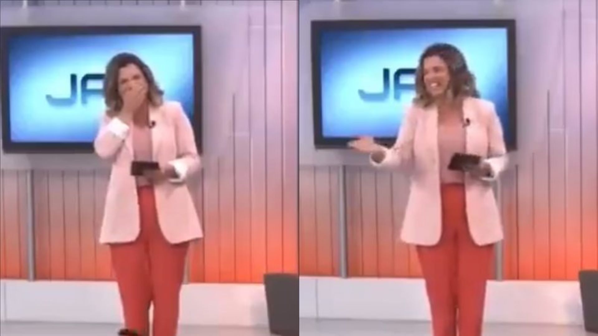 Animal invade estúdio de jornal e desconcerta apresentadores da NSC TV