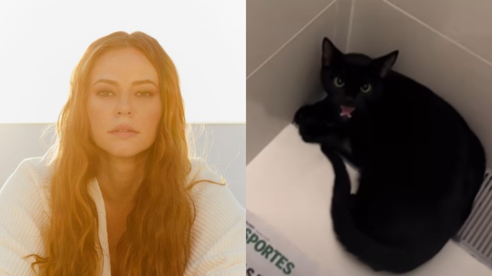 Paolla Oliveira resgata gato preto