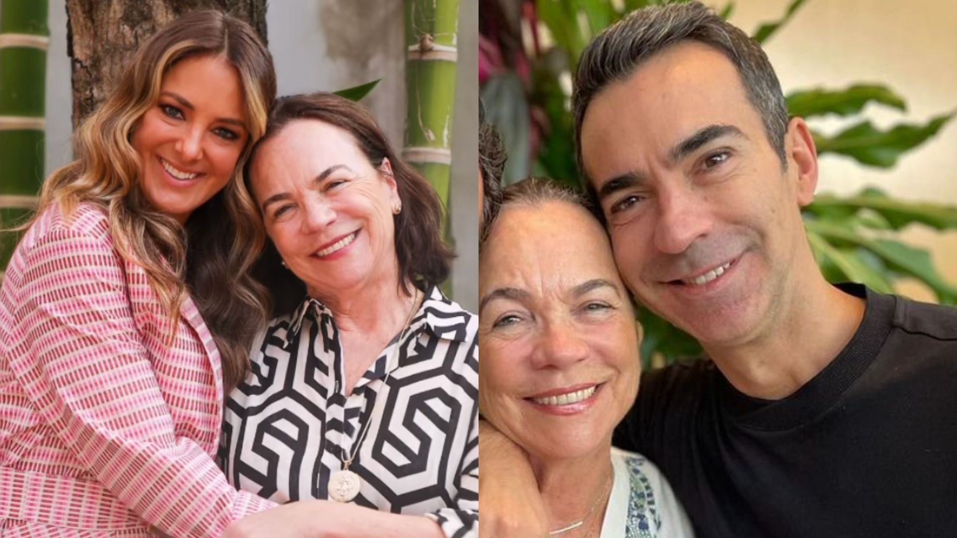 Ticiane Pinheiro desabafa sobre saudade sete meses após morte da sogra: “Eterna!”