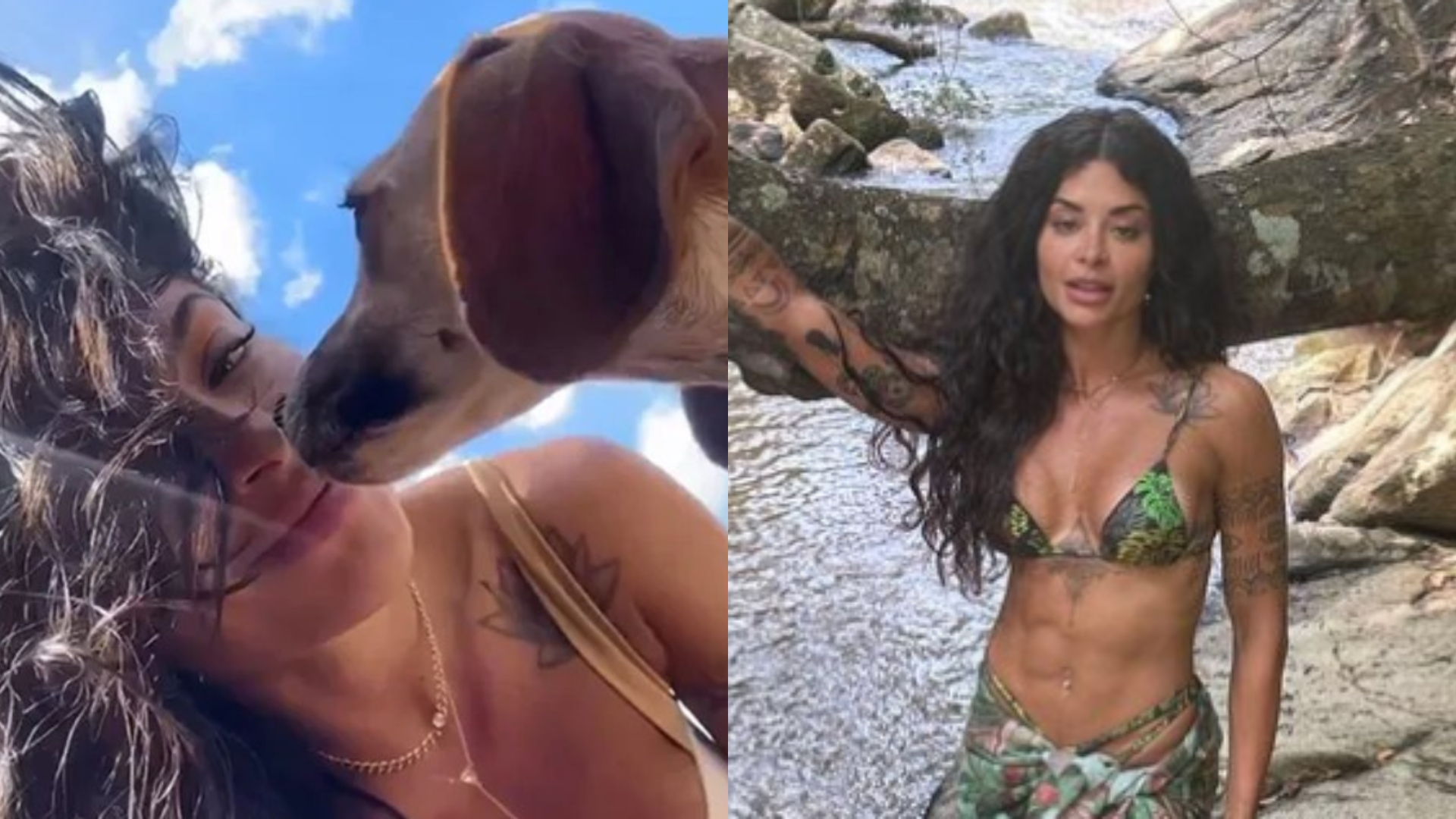 Aline Campos revela que cachora que adotou em viagem tem dona