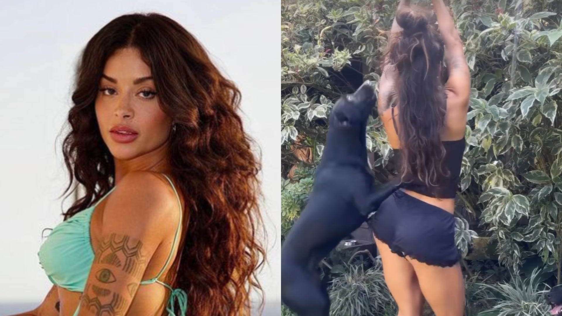 Aline Campos acaba machucada ao ser surpreendida por cachorra