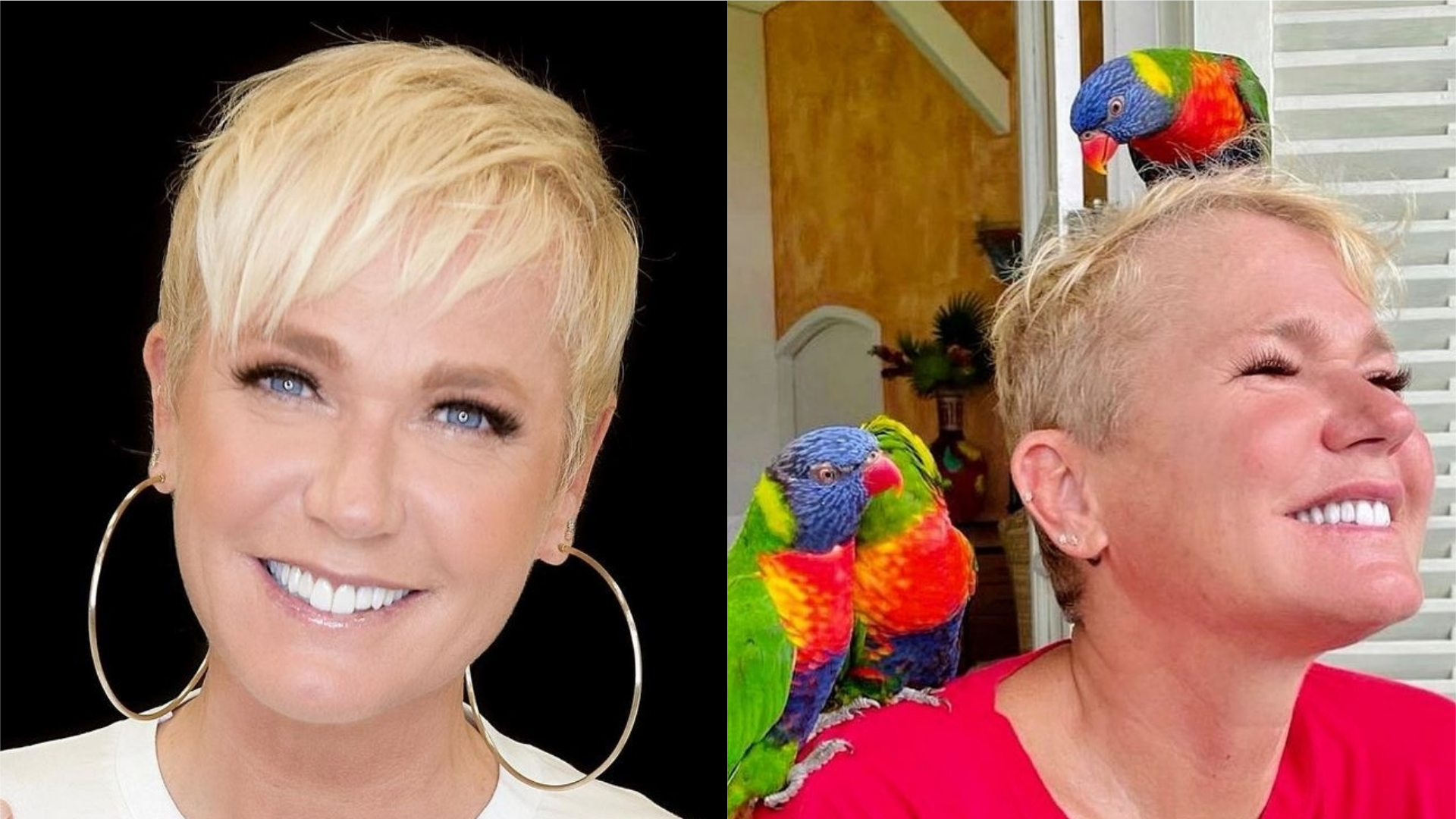 Xuxa diz que sexo melhorou após veganismo: “Rendendo por muito mais tempo”