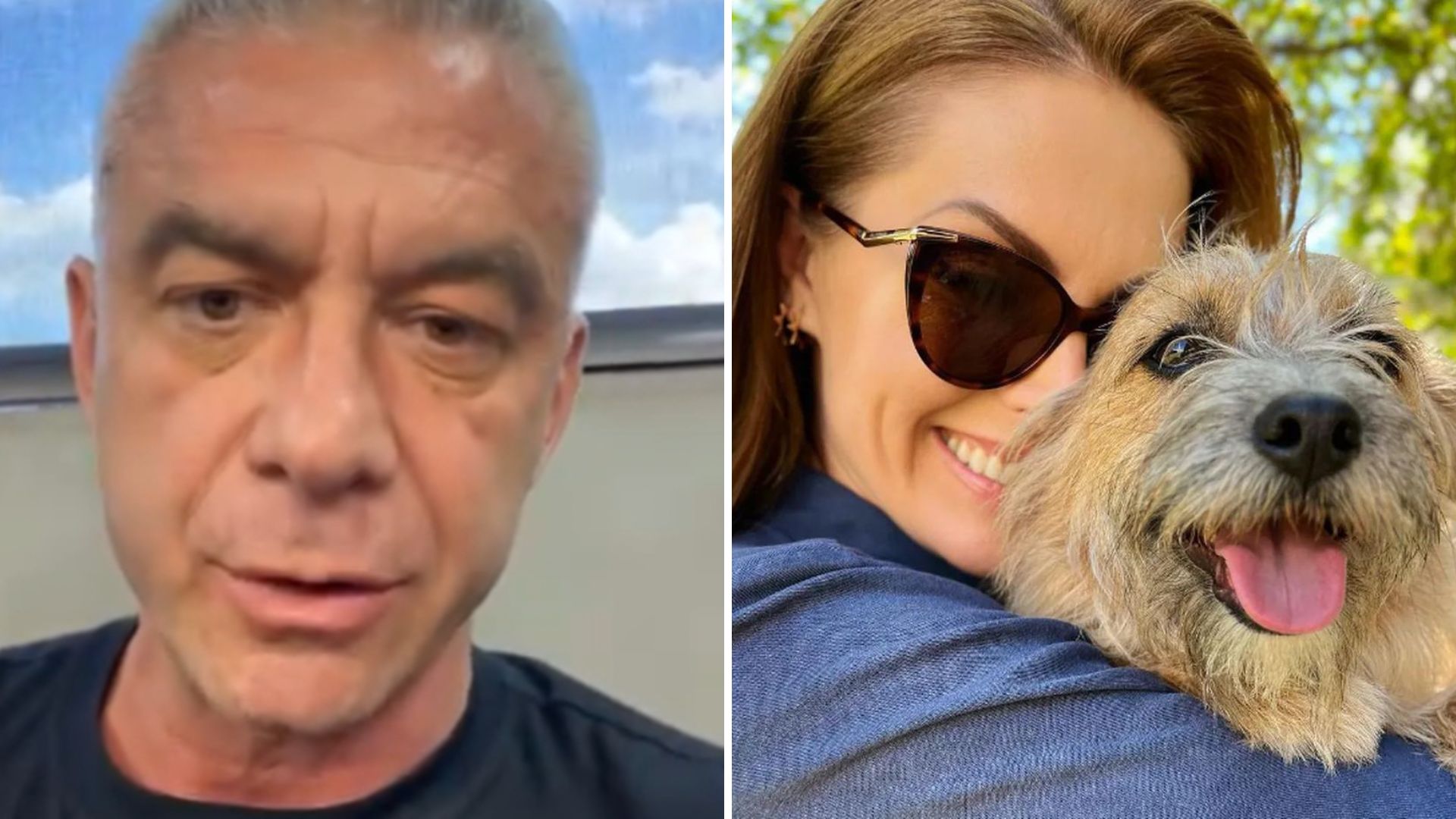 “Preguiça desse vira-lata”: ex fez críticas ao cachorro que salvou Ana Hickmann