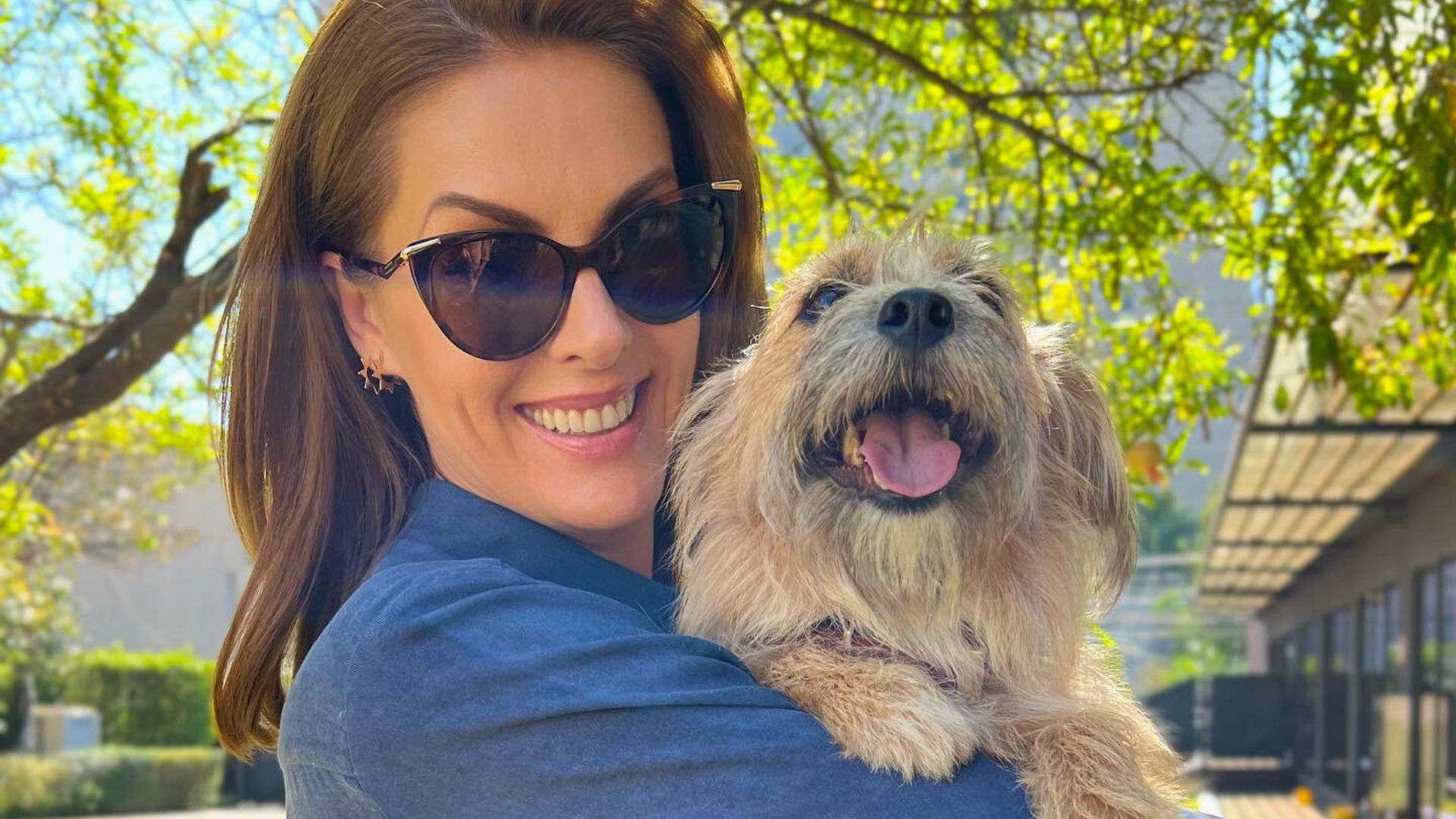 Cachorro que ‘salvou’ Ana Hickmann do marido foi resgatado pela apresentadora; relembre