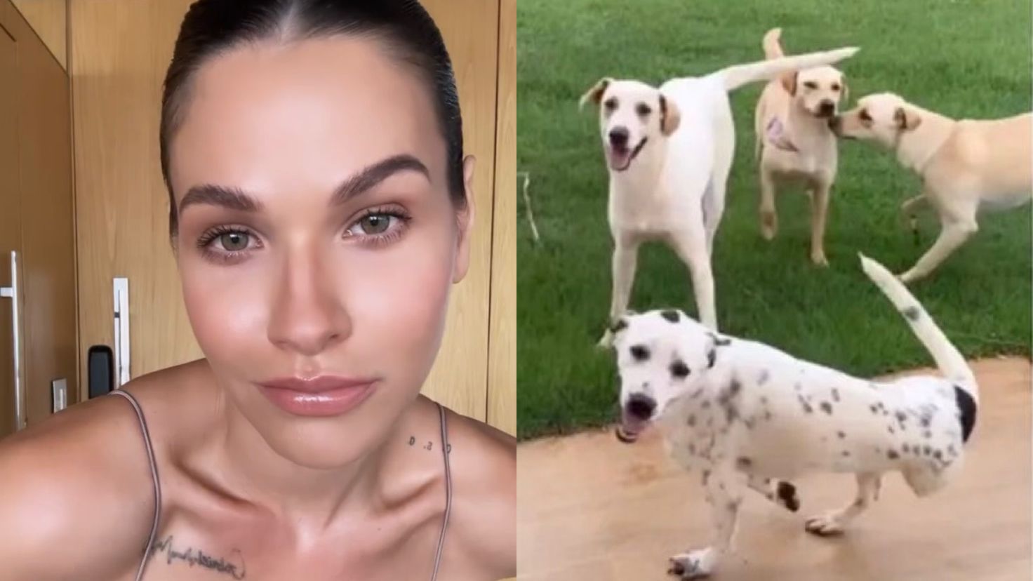 Andressa Suita e Gusttavo Lima resgatam 5 cachorros em abandonados estrada: “Agora temos 16”