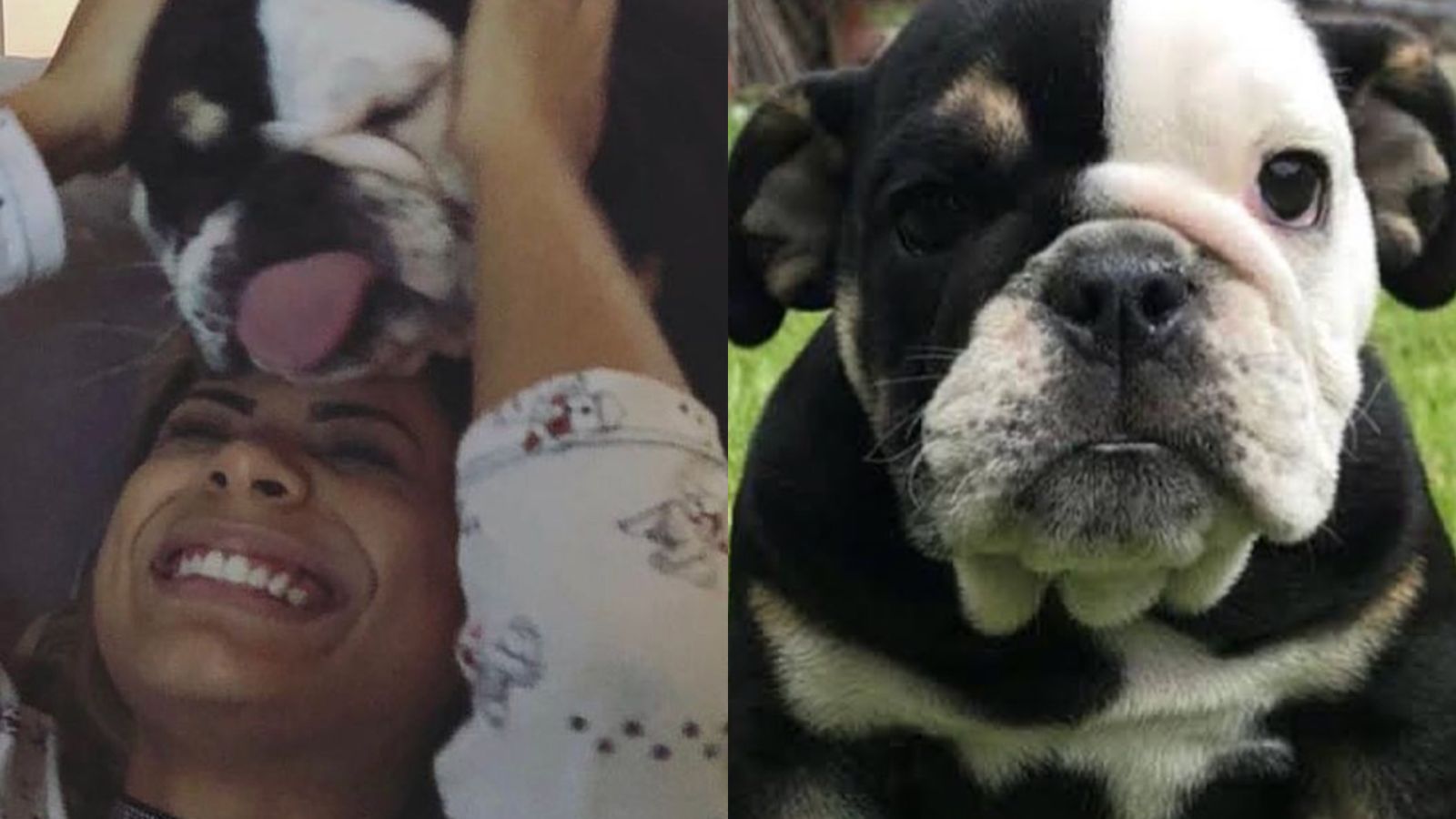 Lexa lamenta morte de seu cachorrinho: “Coração está despedaçado”