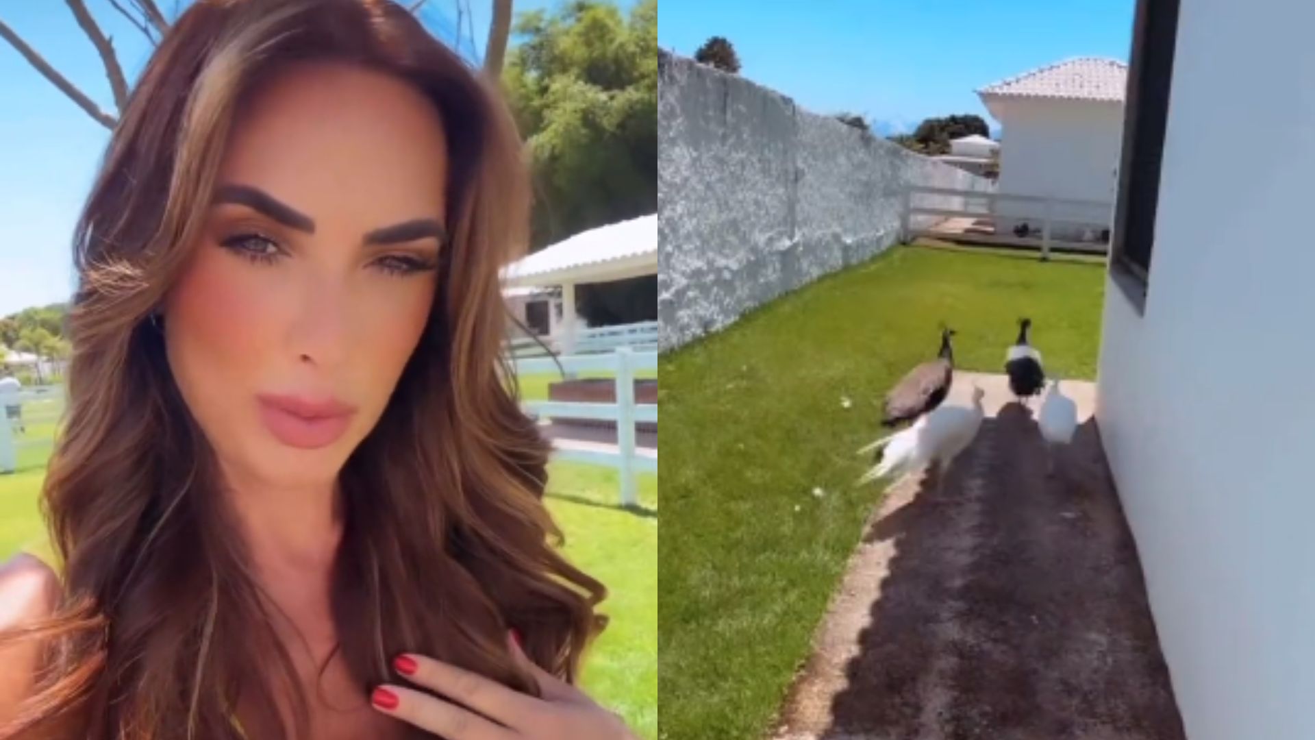 Nicole Bahls homenageia casal famoso em seus pavões. Saiba quem é!
