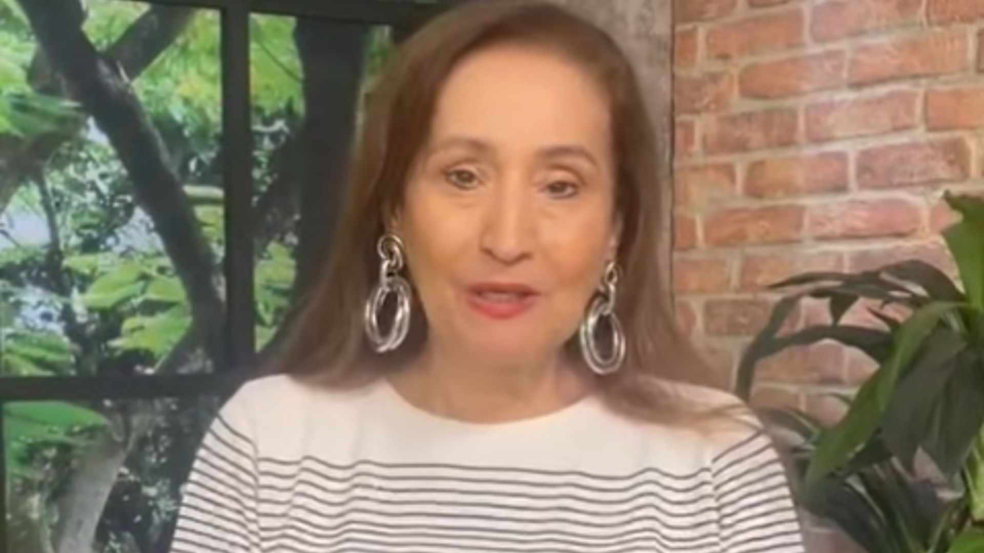 Sonia Abrão é afastada de seu programa: ”Contra a minha vontade”