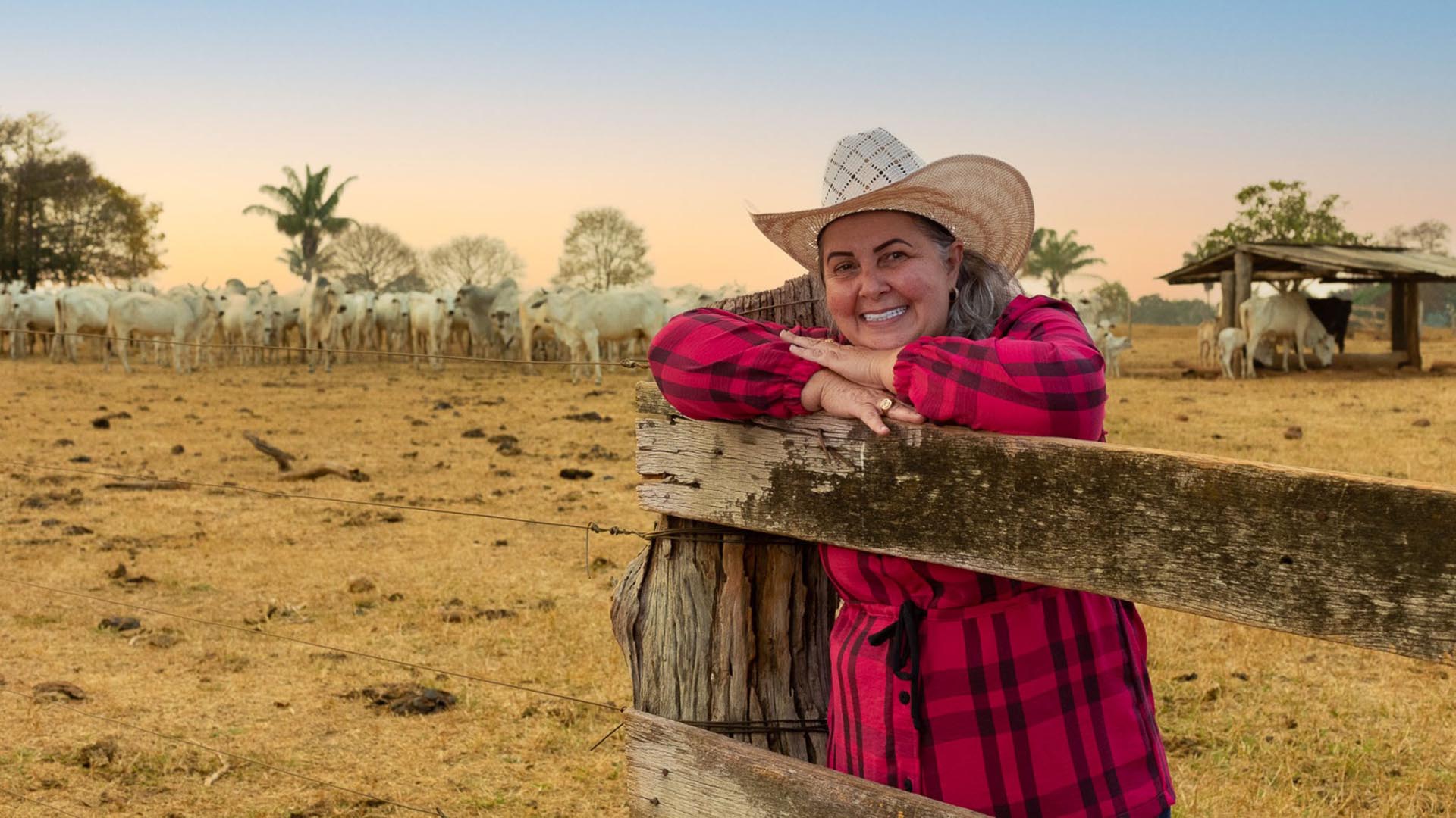 Cássia Luzia: a agropecuária no DNA