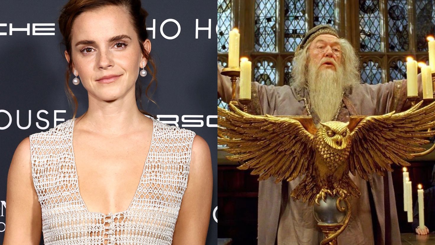 Emma Watson faz homenagem a Michael Gambon, que deu vida a Dumbledore, nas redes sociais