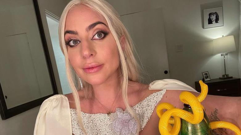 Lady Gaga não terá que pagar recompensa para mulher ligada ao rapto de seus cães