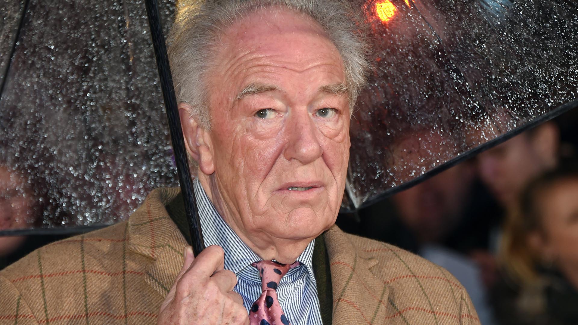 Ator do filme de ‘Harry Poter’, Michael Gambon, morre aos 82 anos