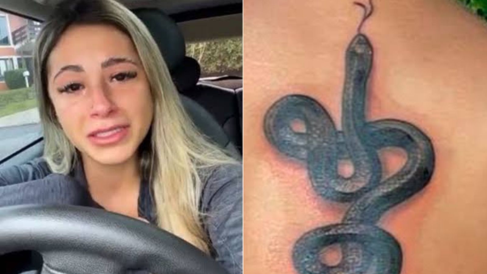 Confirmada em ‘A Fazenda 15’, Nathalia Valente foi processada por tatuagem polêmica
