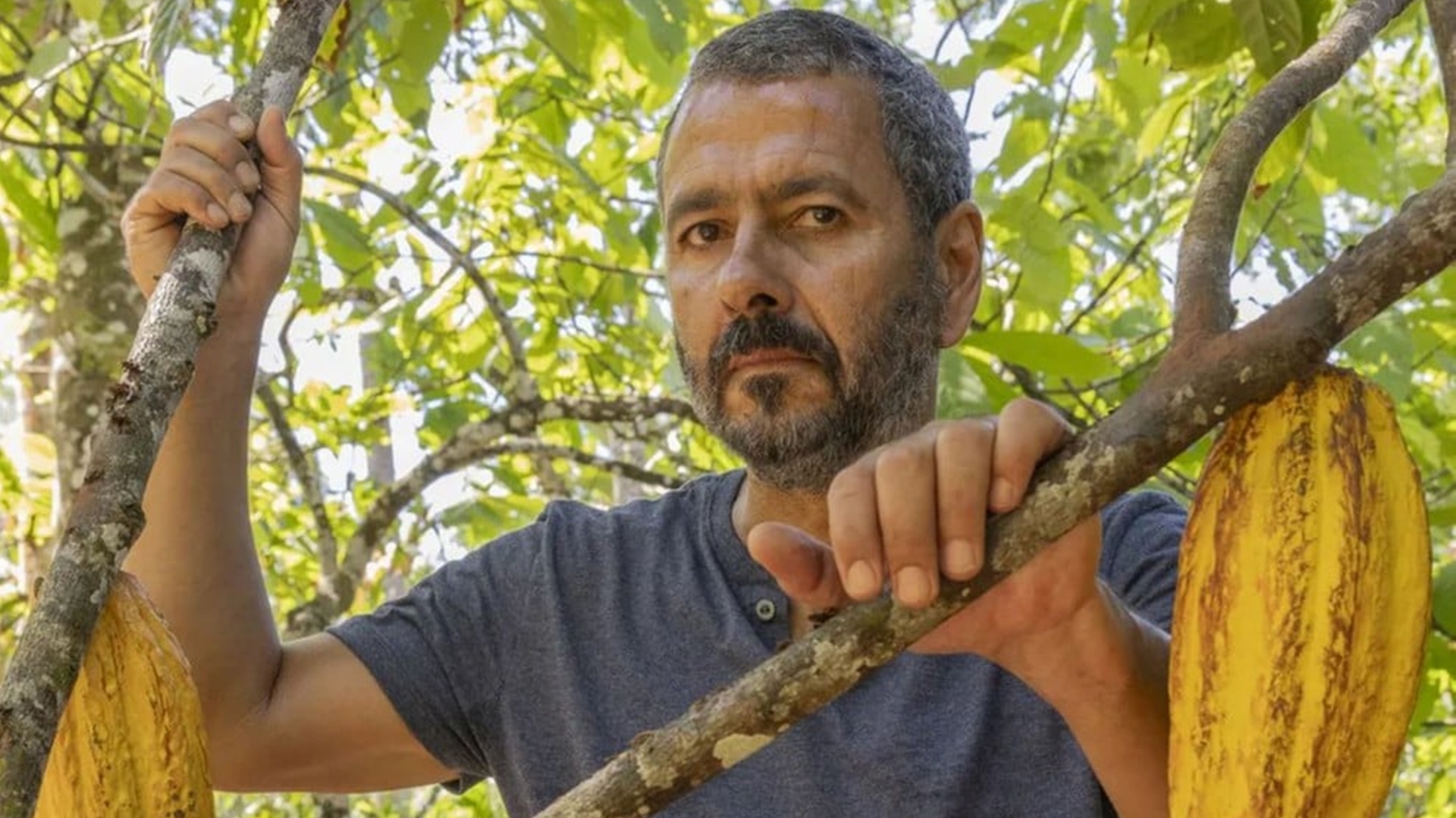 Marcos Palmeira defende Renascer e garante que novela é diferente de Pantanal