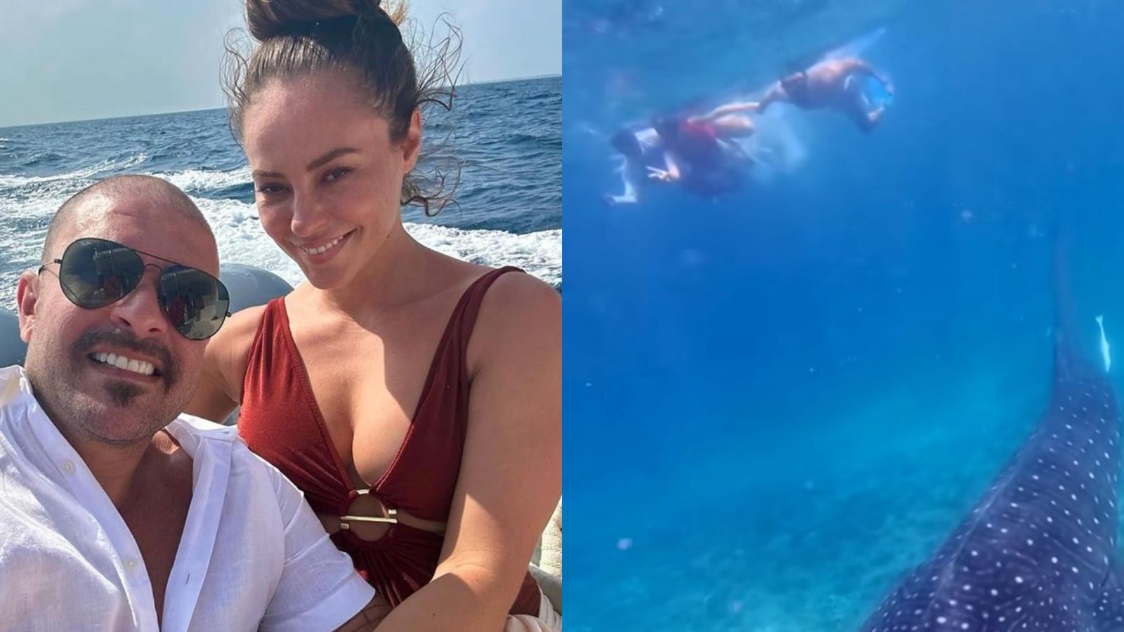 Que perigo! Paolla Oliveira fica de cara com tubarão em mergulho nas Maldivas