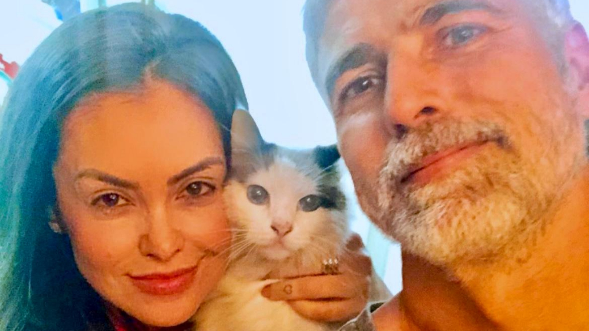 Renata Brás revela como decidiu adotar gata com Reynaldo Gianecchini