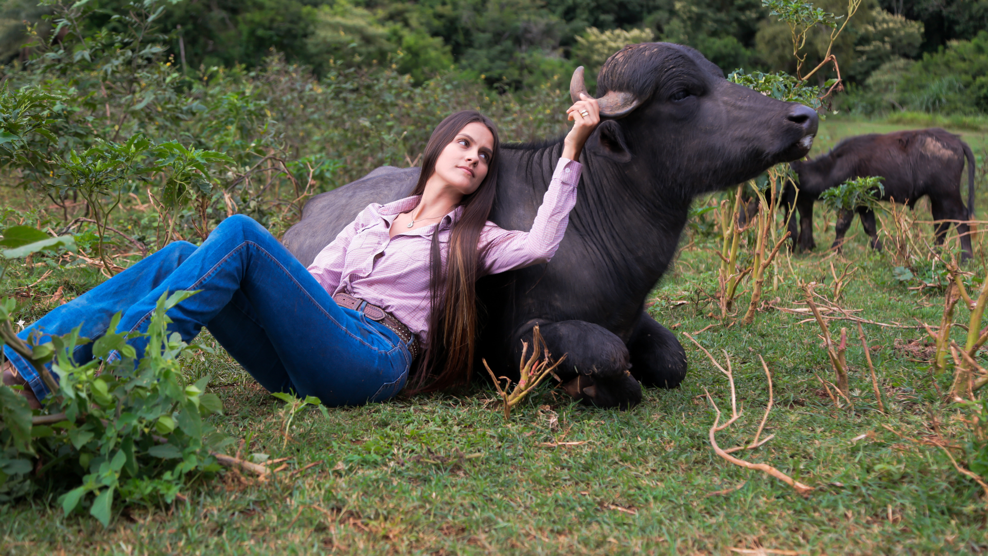 ‘Garota das Búfalas’, Letícia Benedik destaca a qualidade de vida no campo com pecuária leiteira