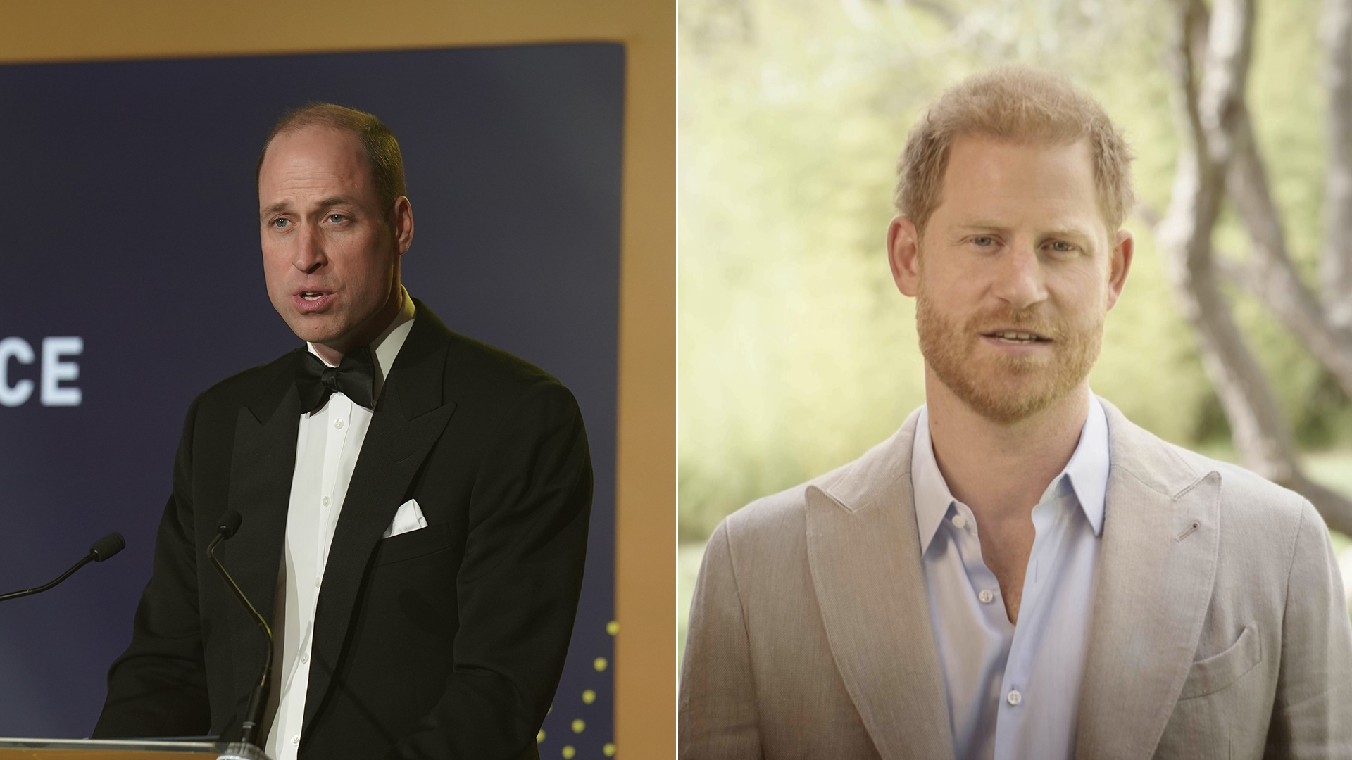 Príncipes William e Harry não se encontram em homenagem para Diana