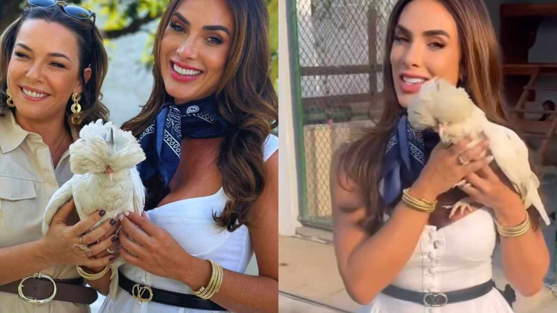 Nicole Bahls apresenta para Regiane Alves sua galinha com nome da atriz
