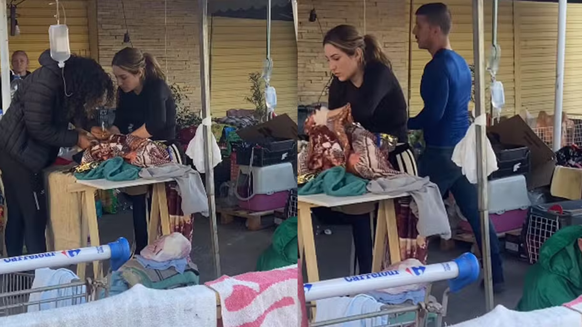 Ex-BBB Amanda Meirelles cuida de cachorro resgatado no RS e vídeo repercute