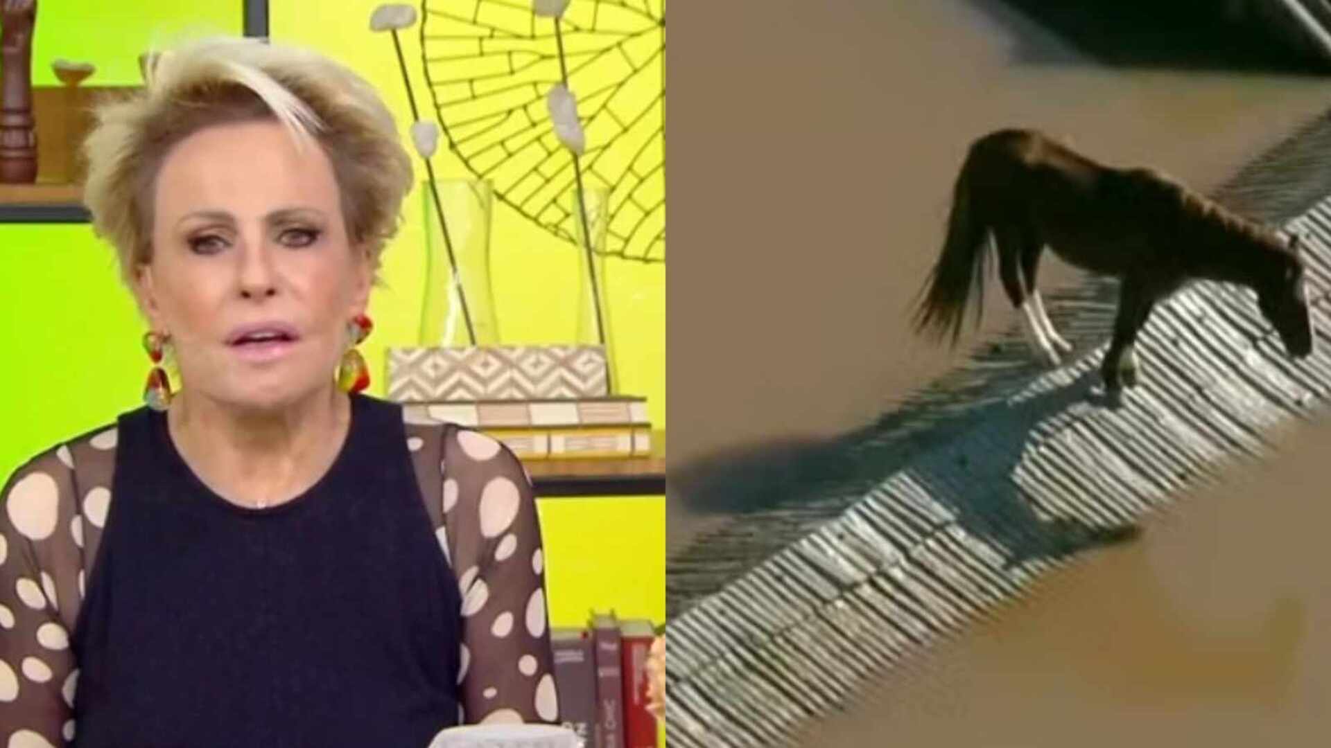 Ana Maria Braga fica pasma ao ver cavalo em telhado ao vivo: ‘Desespero’