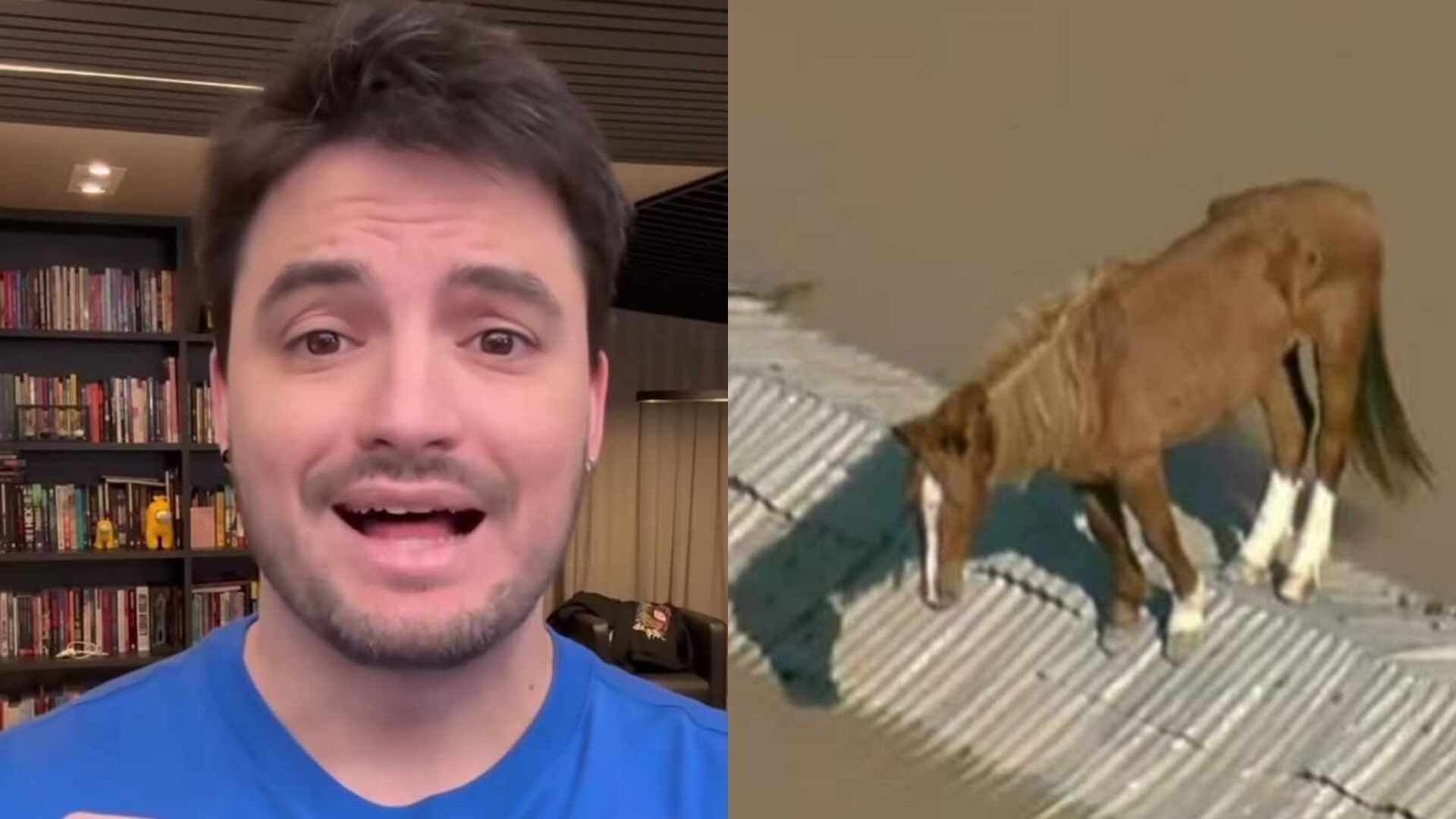 Felipe Neto toma decisão drástica ao ver cavalo resgatado: ‘Quero’