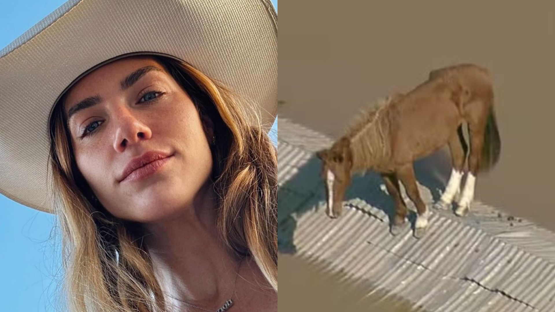Giovanna Ewbank demonstra interesse em adotar cavalo Caramelo: “Um lar”