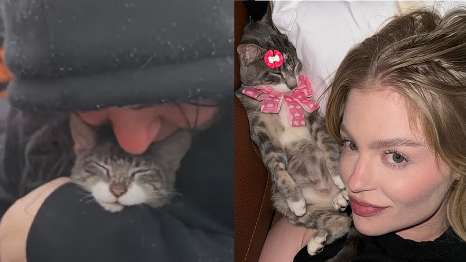 Luísa Sonza mostra como está gata que adotou após resgate em enchente do RS