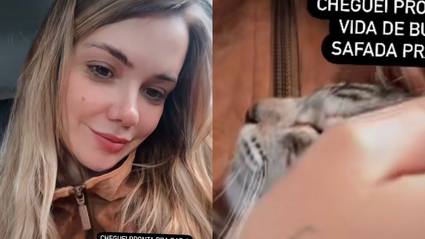 Marcela Mc Gowan mostra gatinha que adotou no Rio Grande do Sul