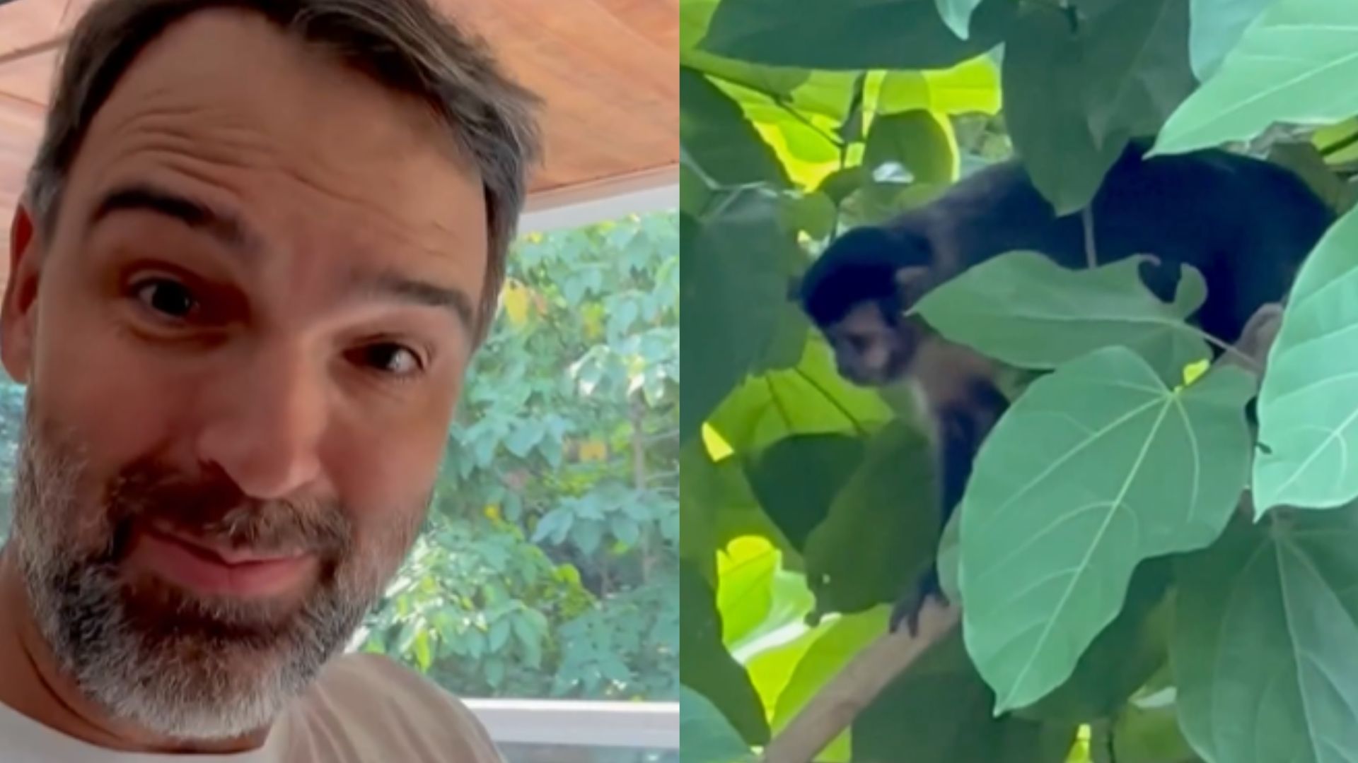 De férias, Tadeu Schmidt mostra visitante inesperado que surgiu em sua casa
