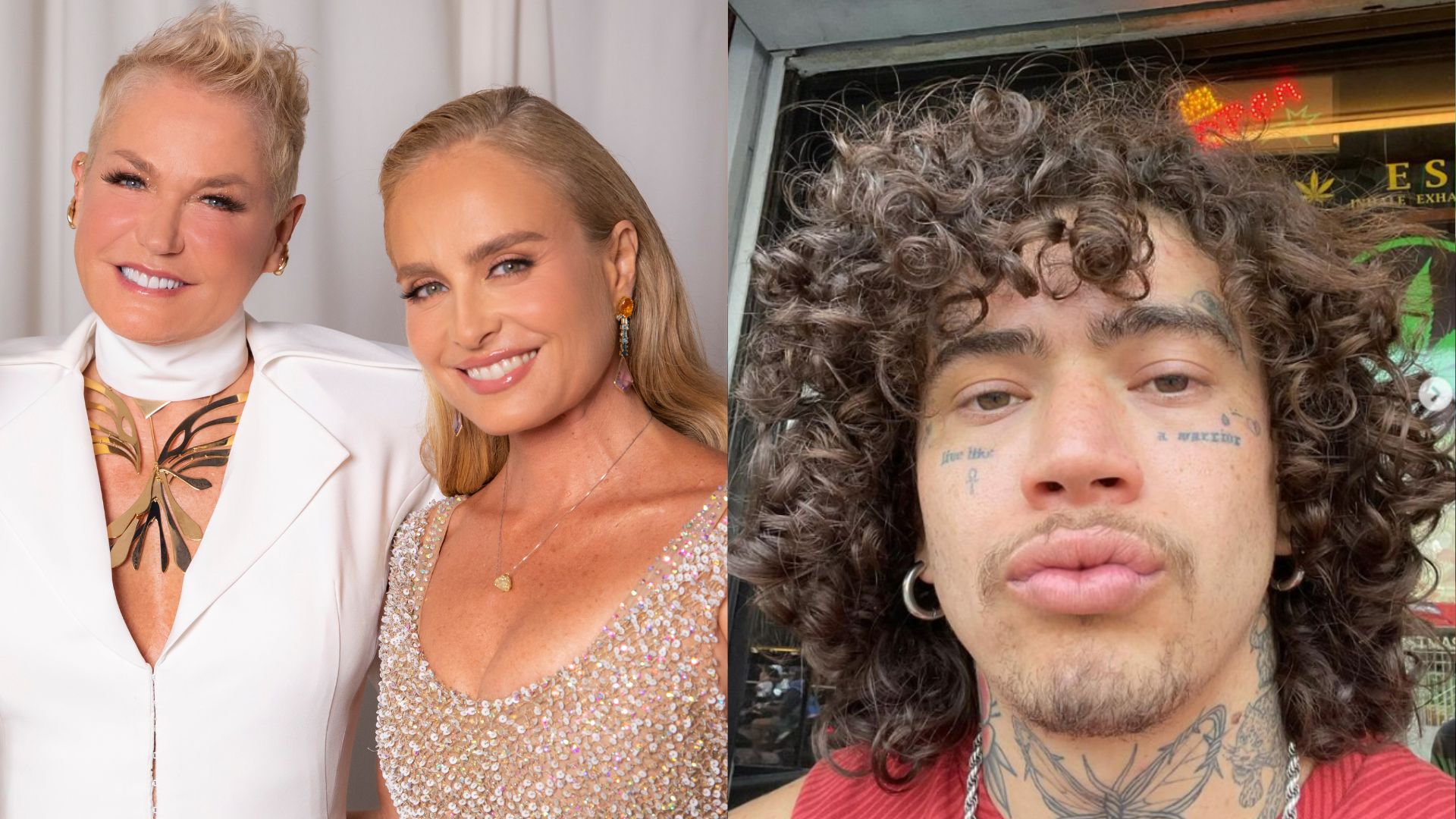 Xuxa, Angélica e Whindersson se unem para auxiliar reencontro de pets e tutores no RS