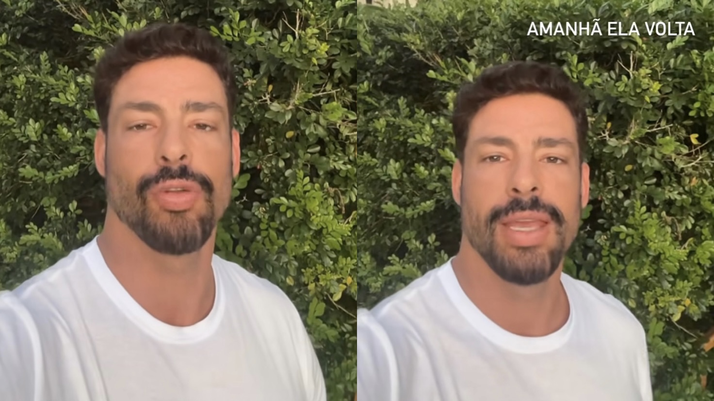 Cauã Reymond anuncia que sua cachorra envenenada receberá alta
