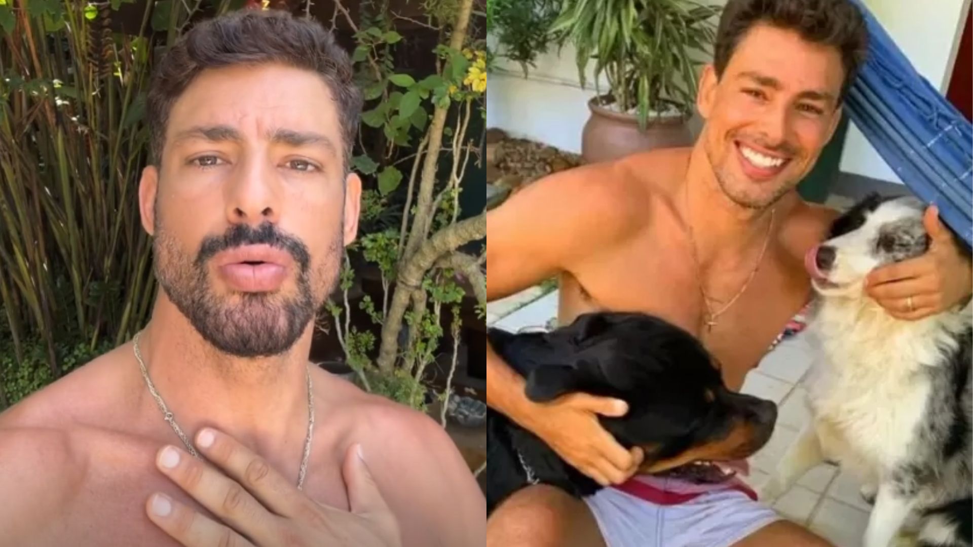 Cauã Reymond atualiza quadro de saúde de segundo cachorro envenenado