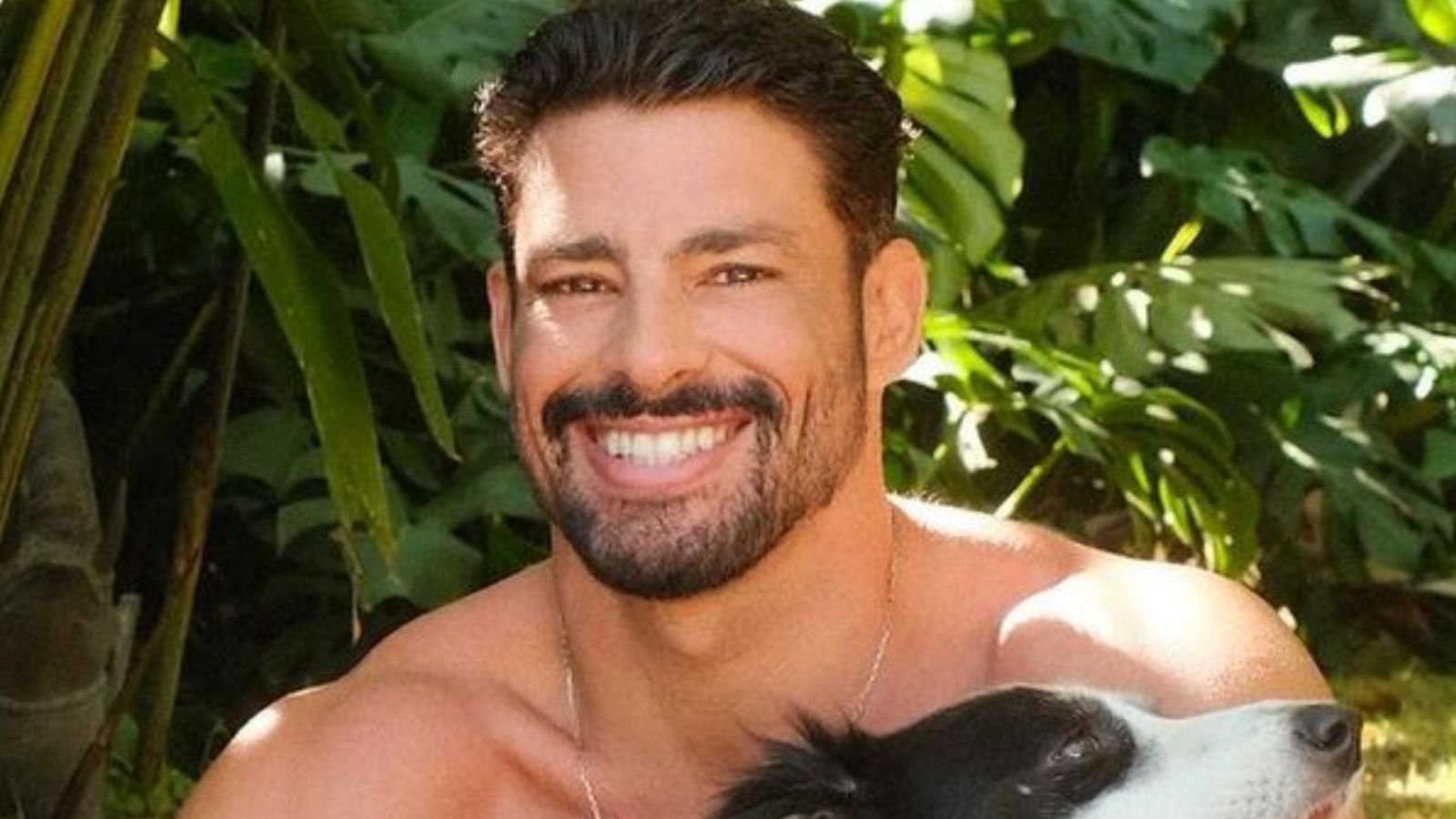 Cauã Reymond celebra recuperação de cadela envenenada e mostra como ela está