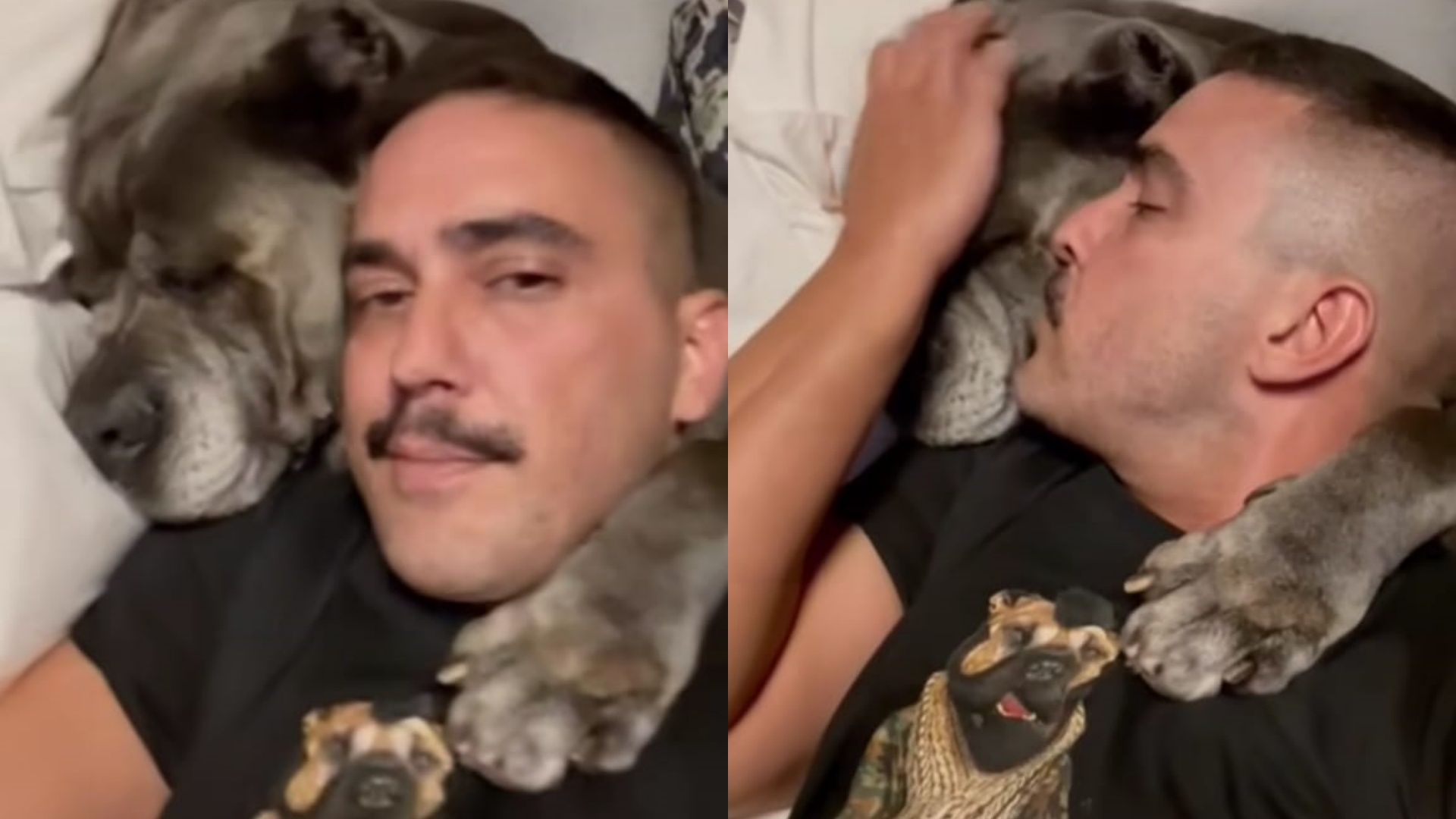 André Marques comove ao falar sobre morte da cachorra: “Dia mais temido chegou”