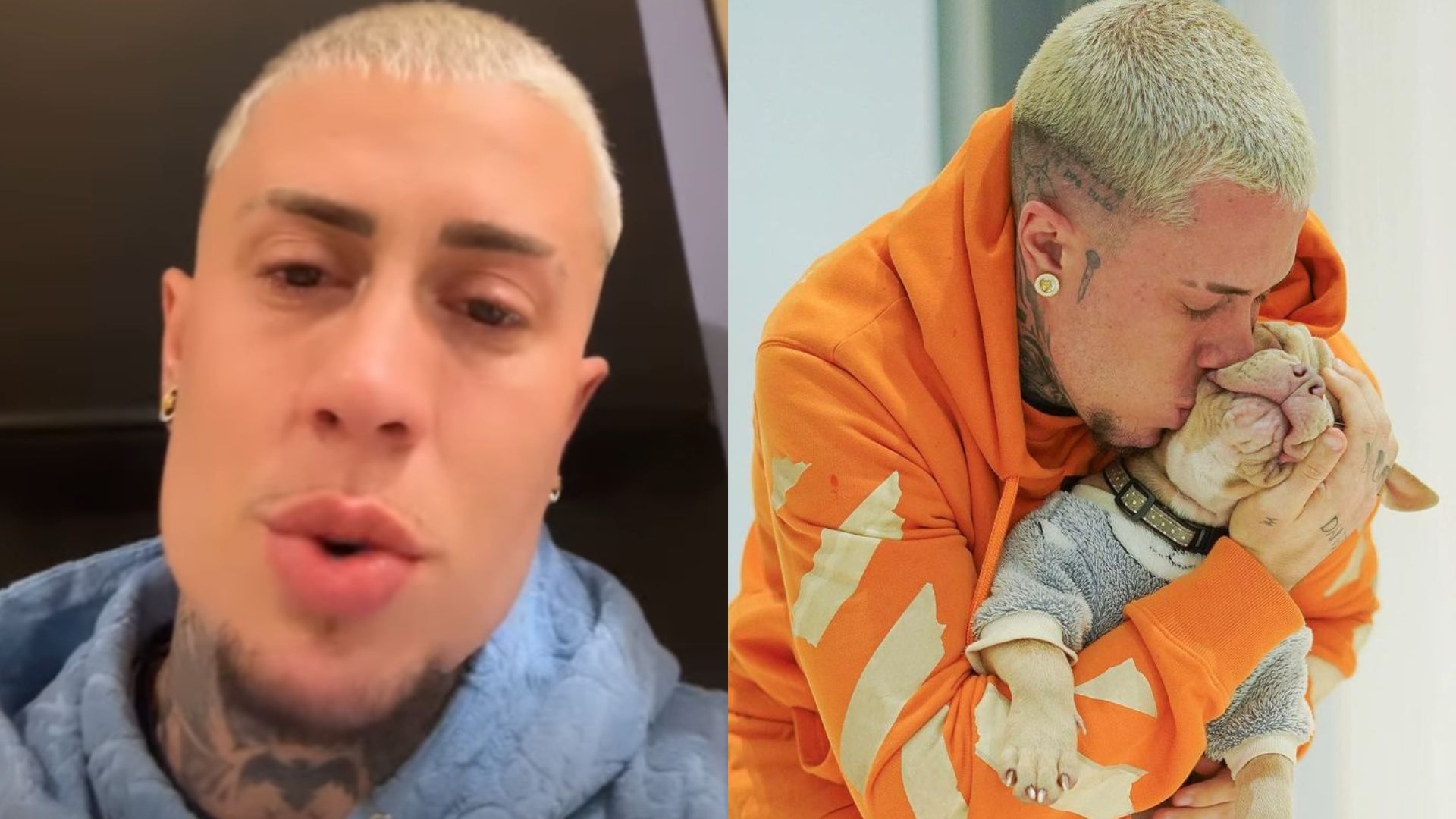 MC Daniel desabafa em show após morte trágica de seu cachorro