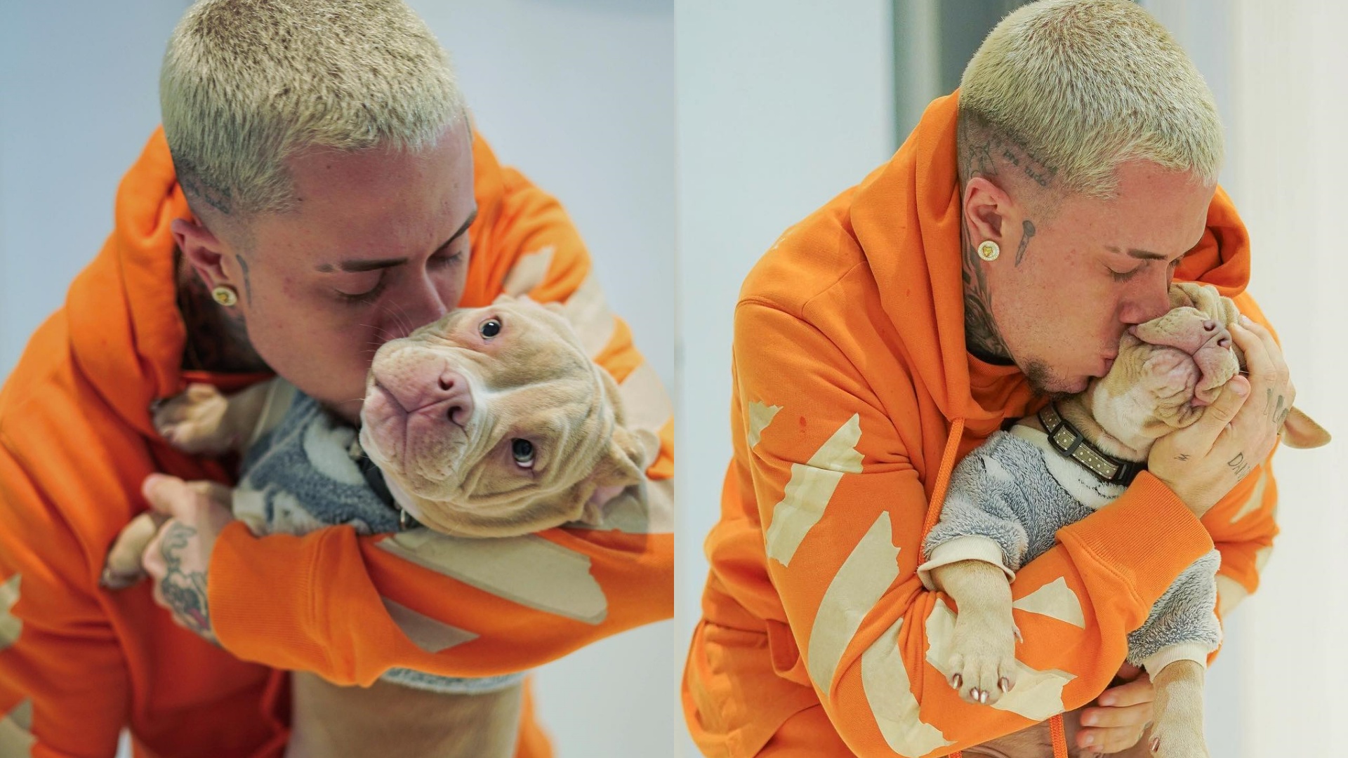 MC Daniel lamenta morte de seu cachorro e faz alerta: “É perigoso”