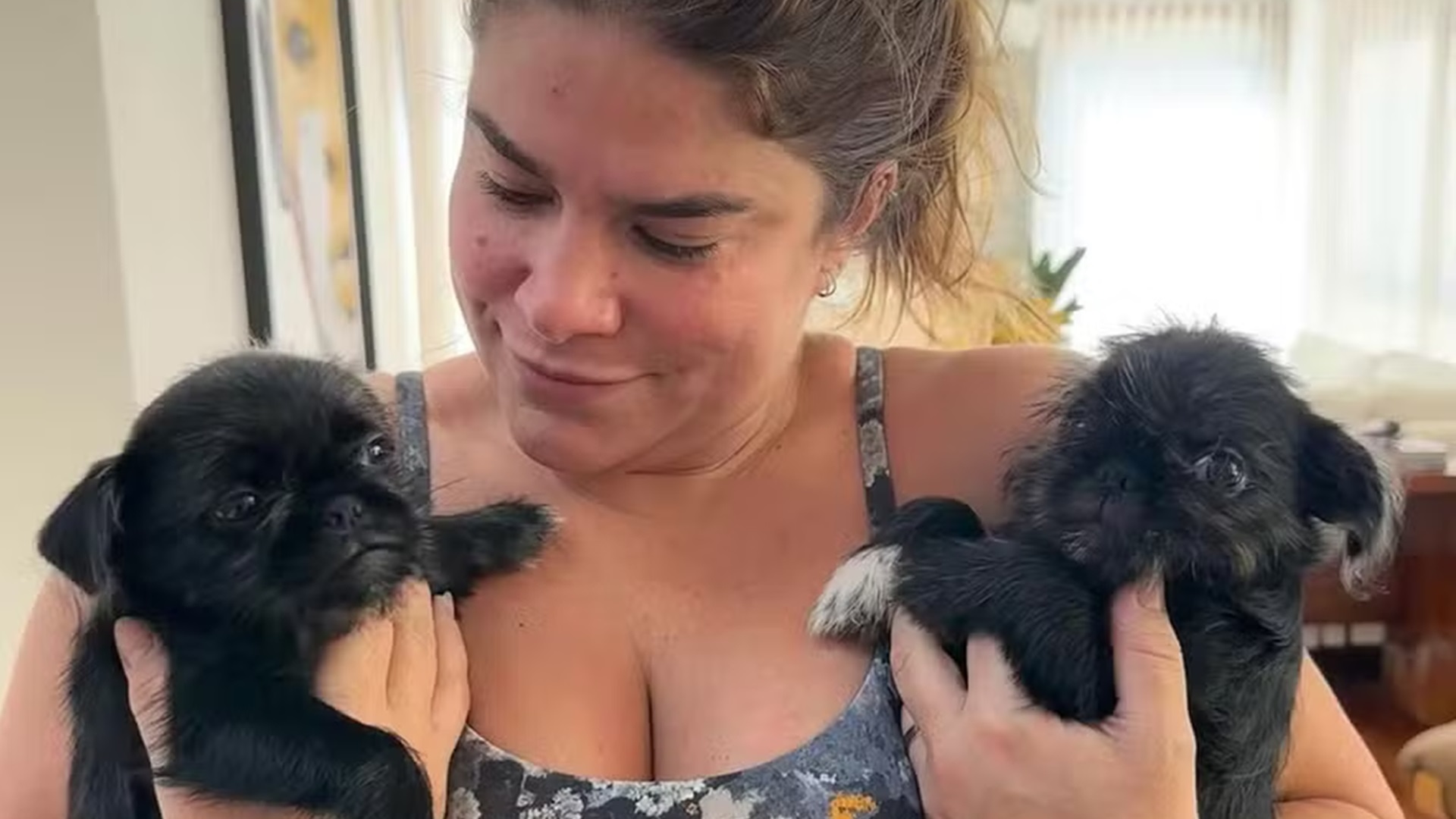 Priscila Fantin adota cães após história comovente: “Descuido”