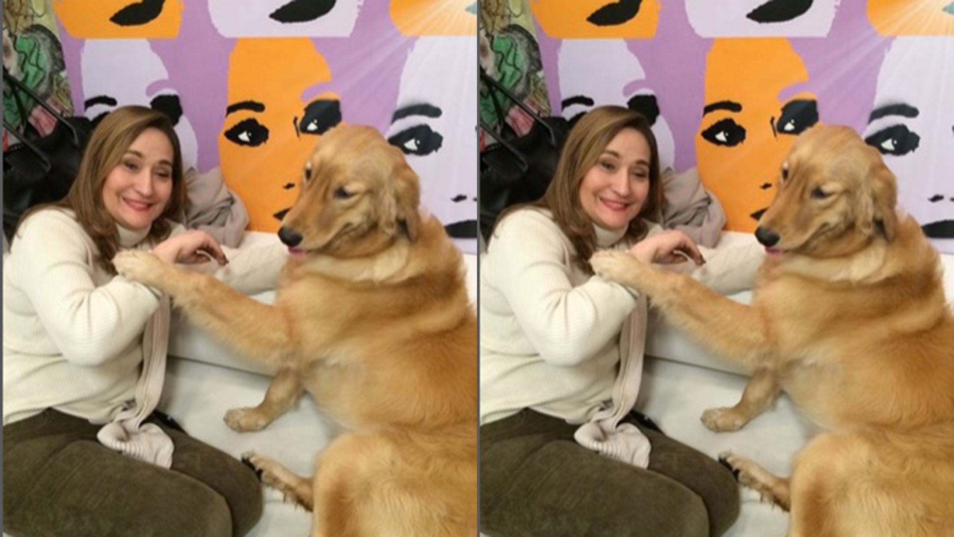 Sonia Abrão lamenta morte de cachorra: ‘Minha amiga e companheira’
