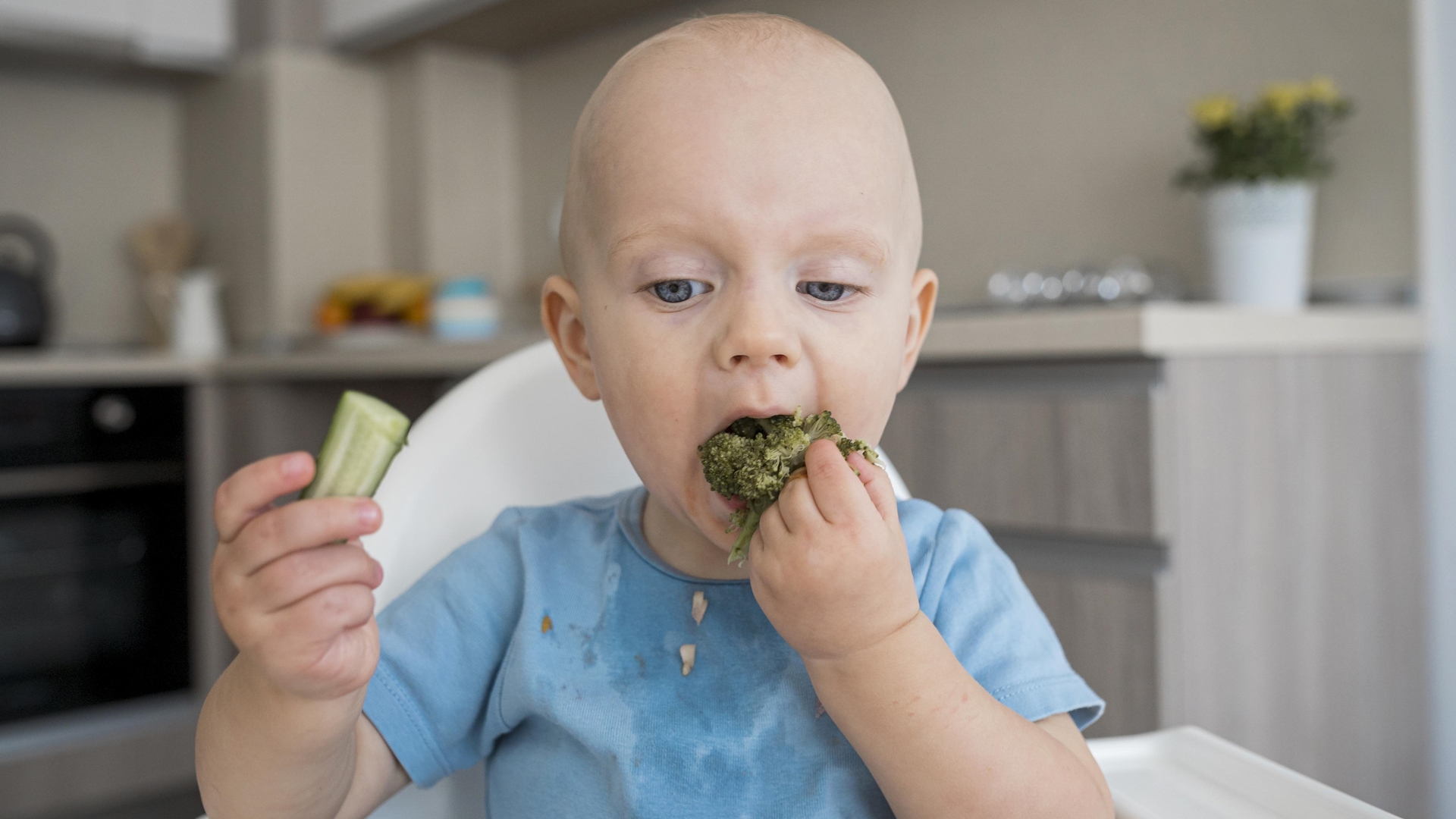 Introdução alimentar: Pediatra explica como construir hábitos saudáveis desde cedo