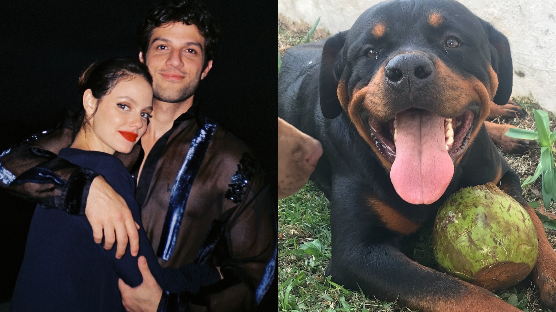 Chay Suede e Laura Neiva lamentam morte do cachorro: “Foi descansar”