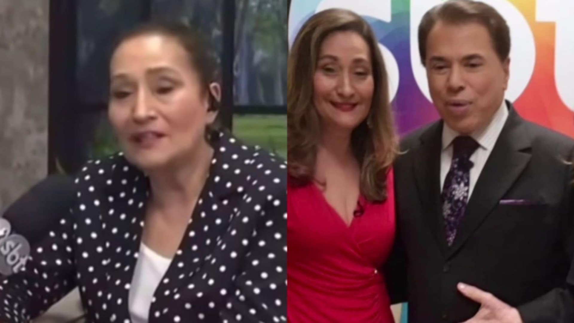 Sonia Abrão ficou em choque ao saber de morte de Silvio Santos