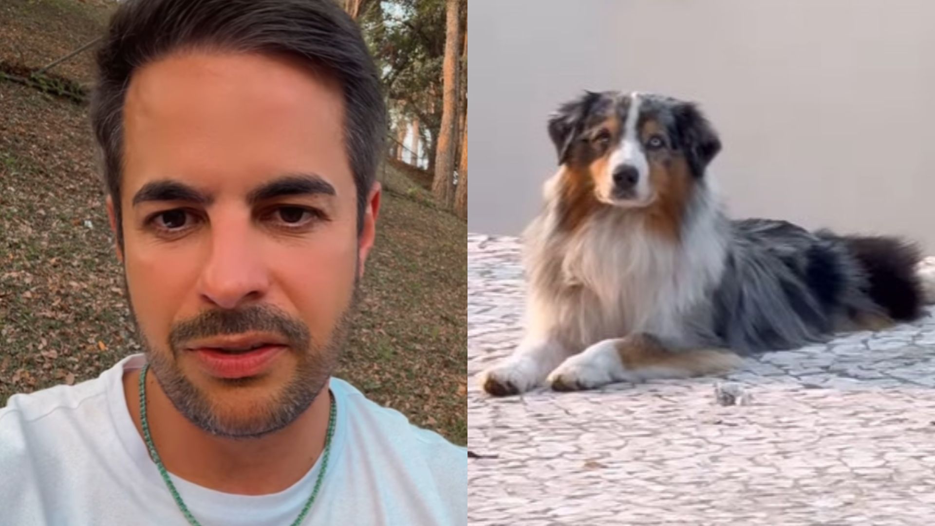 Marido de Simone Mendes rebate vizinho após críticas sobre cachorro da família