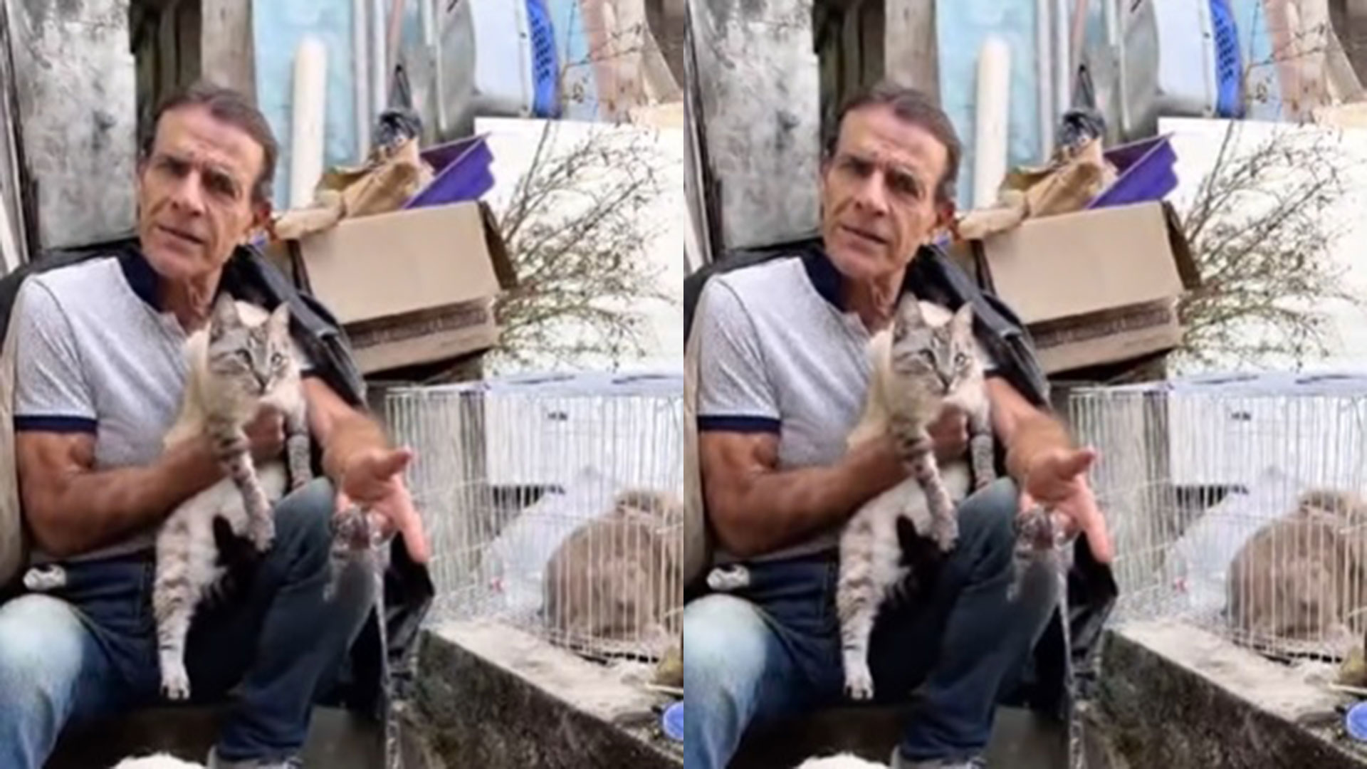 Mário Gomes se revolta com boatos de que teria abandonado pets após despejo
