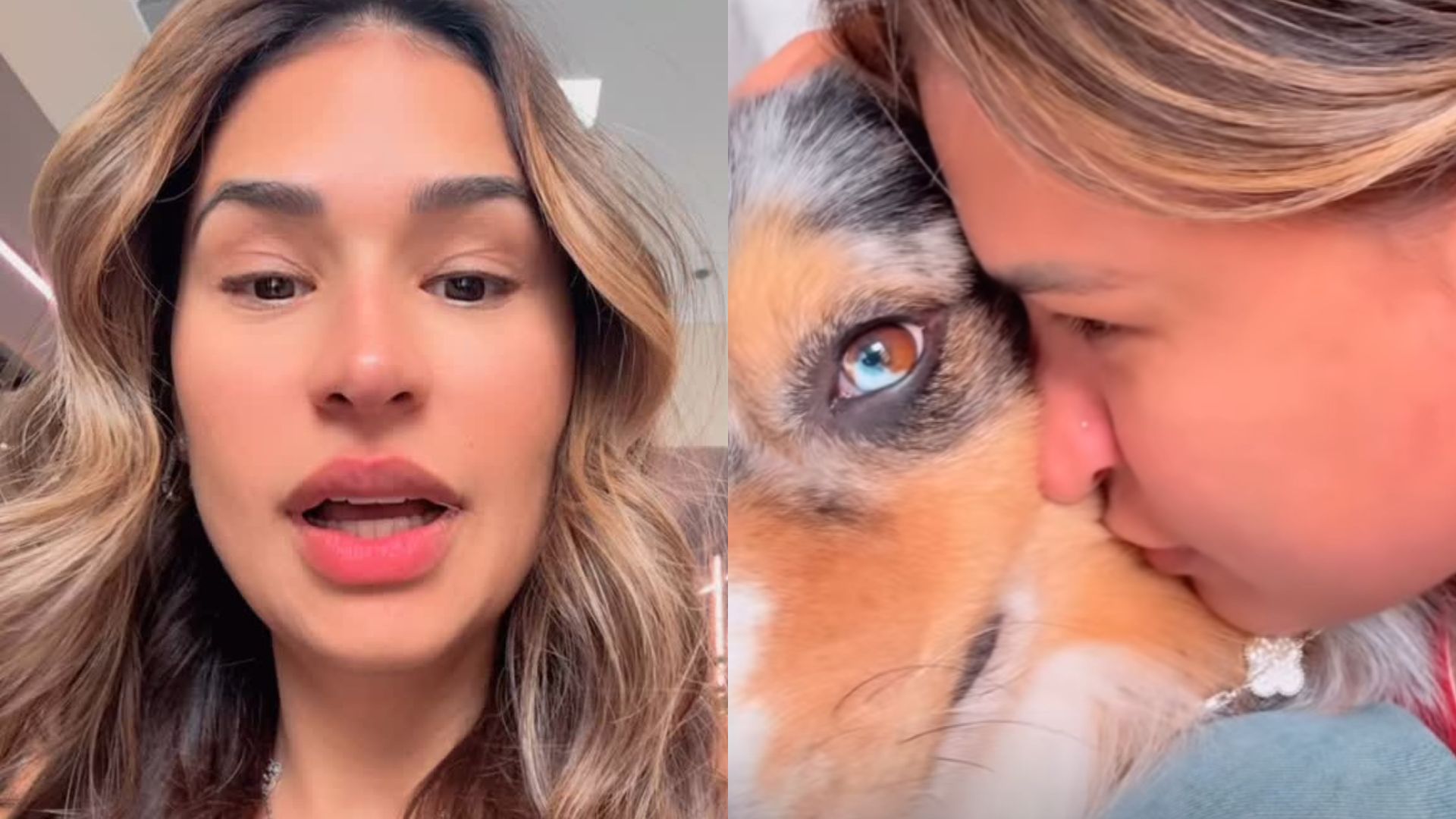 Simone Mendes reage após vizinho apontar ‘falta de cuidado’ com seu cachorro