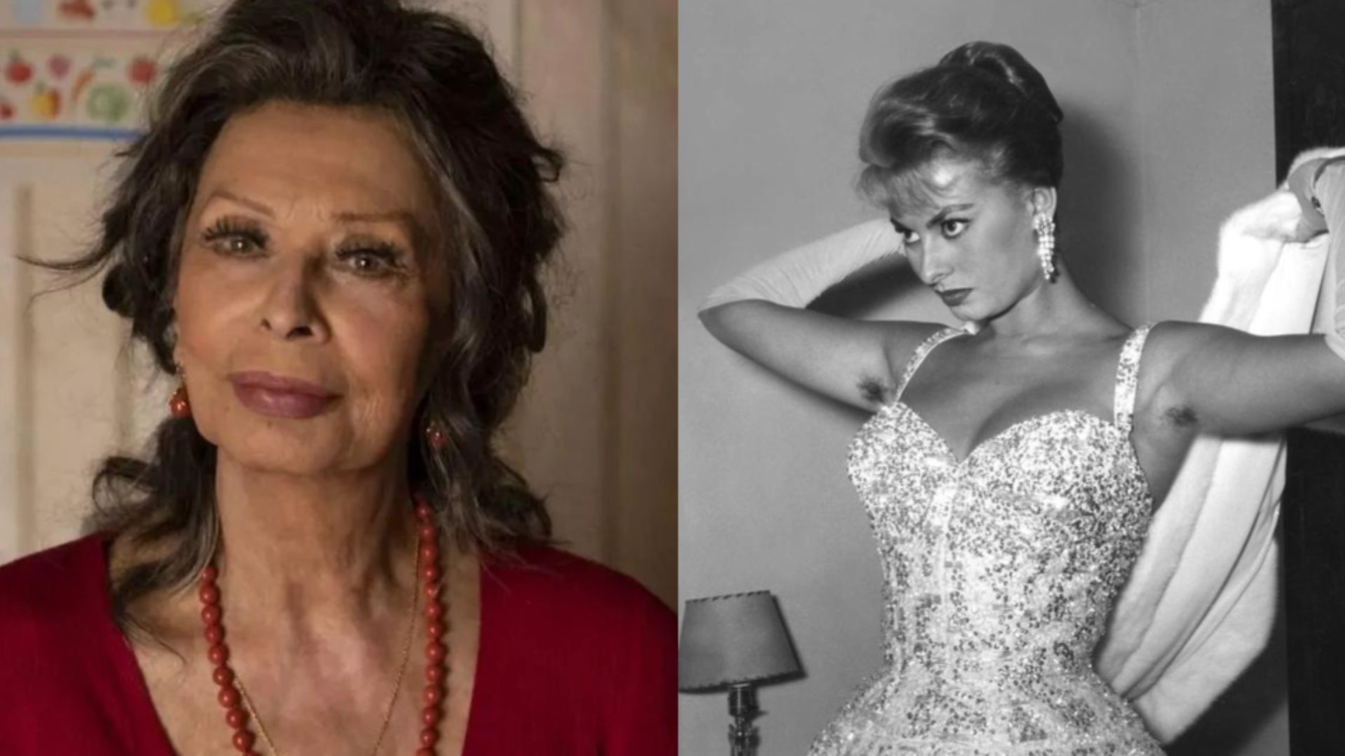 Sophia Loren: 90 anos de pioneirismo na defesa da liberdade feminina