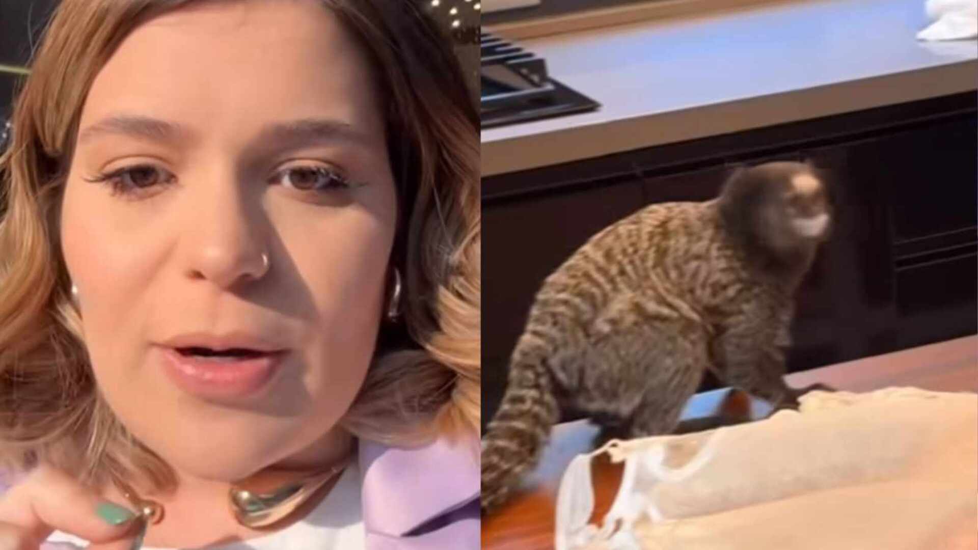 Viih Tube é surpreendida por macaco em sua cozinha: ‘Boca cheia de leite’